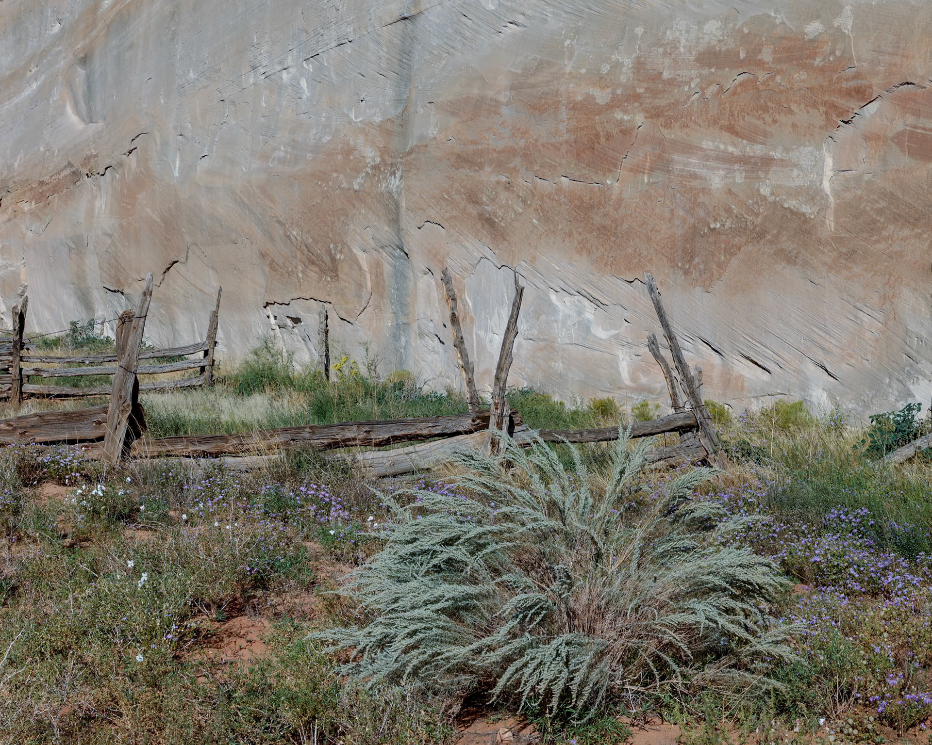 White House CG, Knab UT