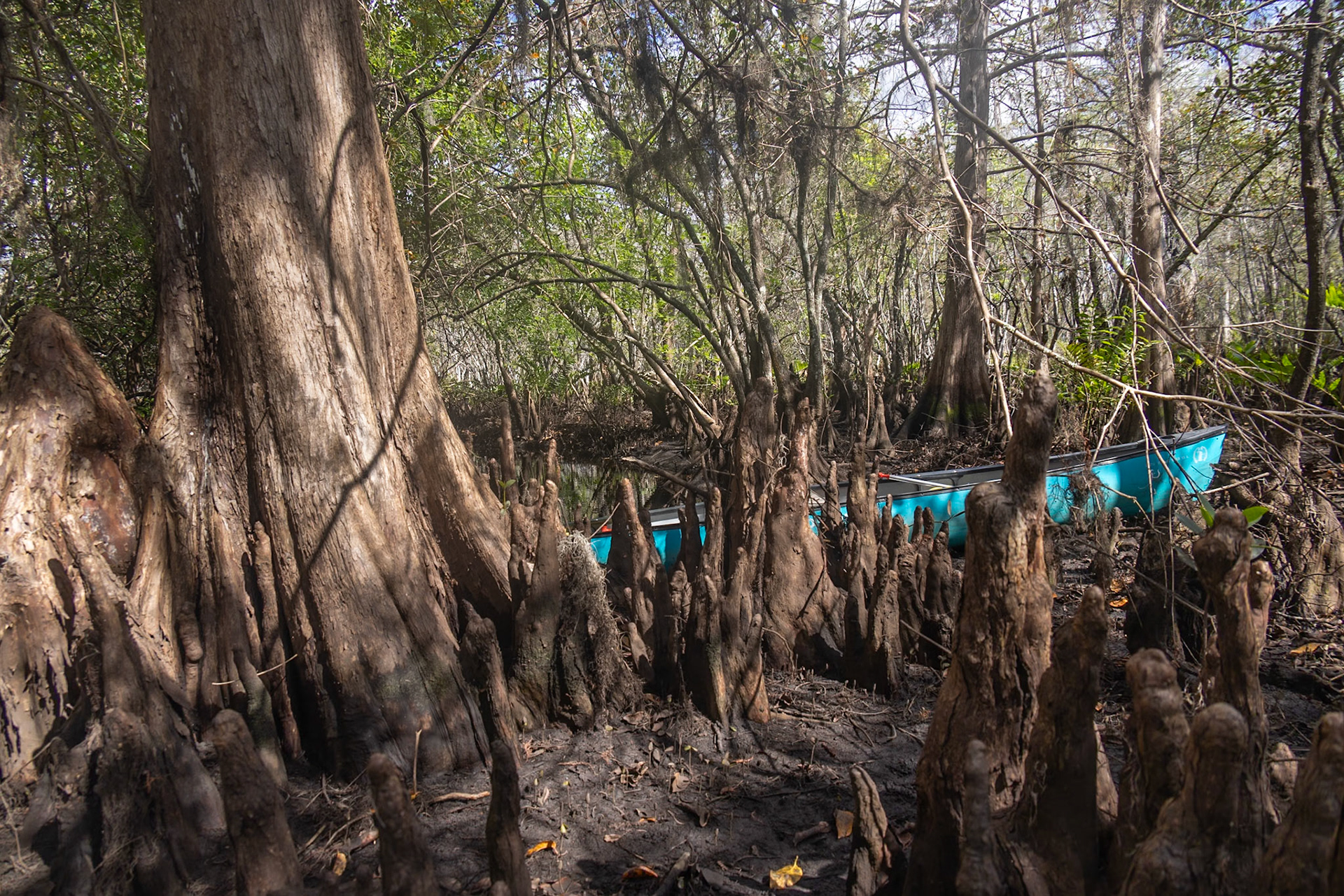 Kitching Creek, Hobe Sound FL