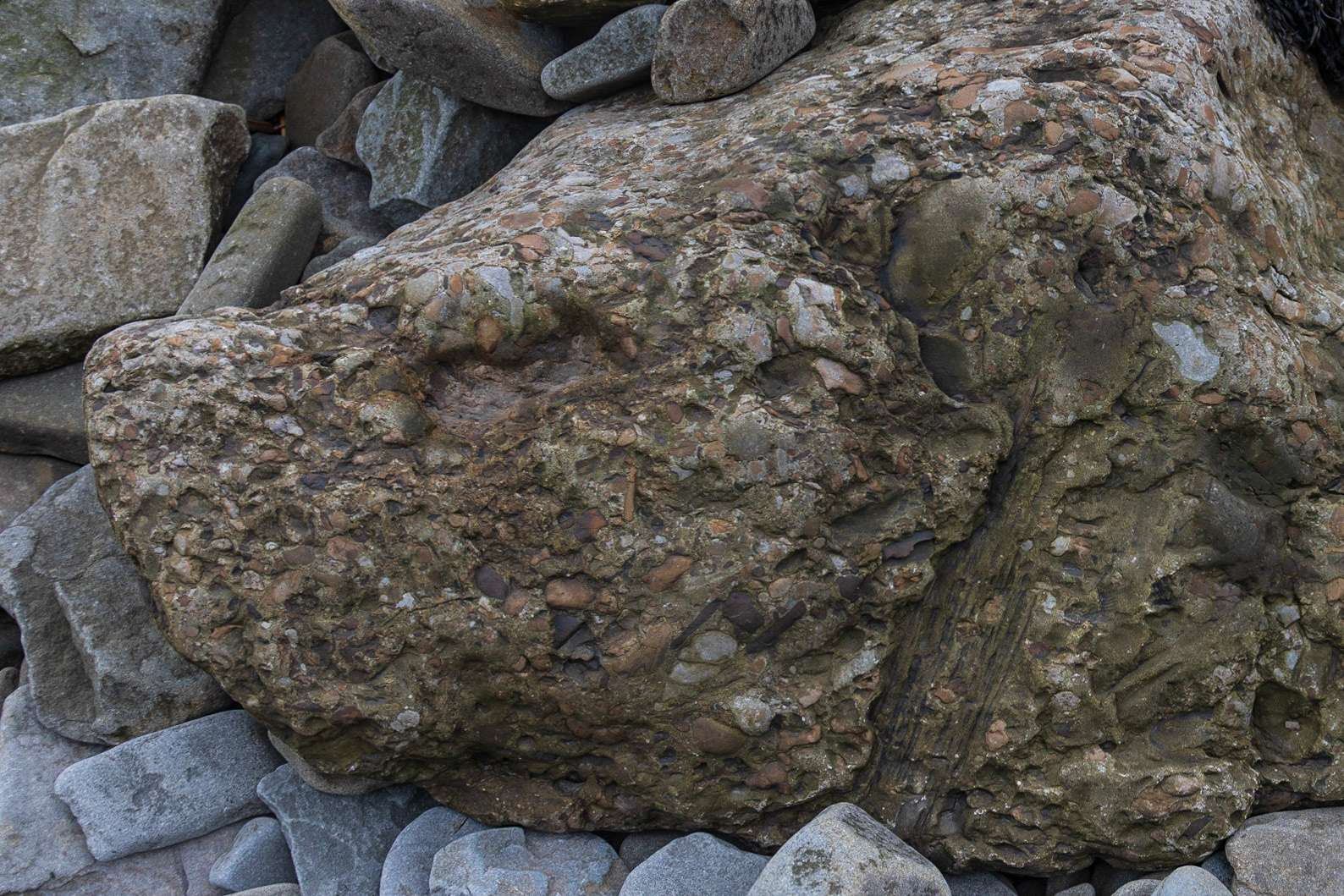 Cape Enrage, NB Canada