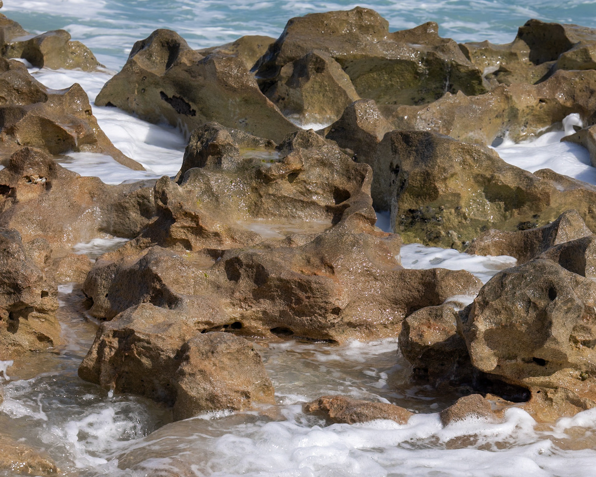 Blowing Rocks Nature Preserve, Tequesta FL