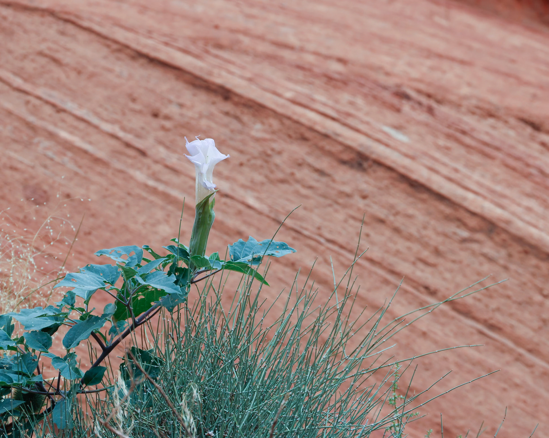 Waterholes Slot Canyon, Page AZ