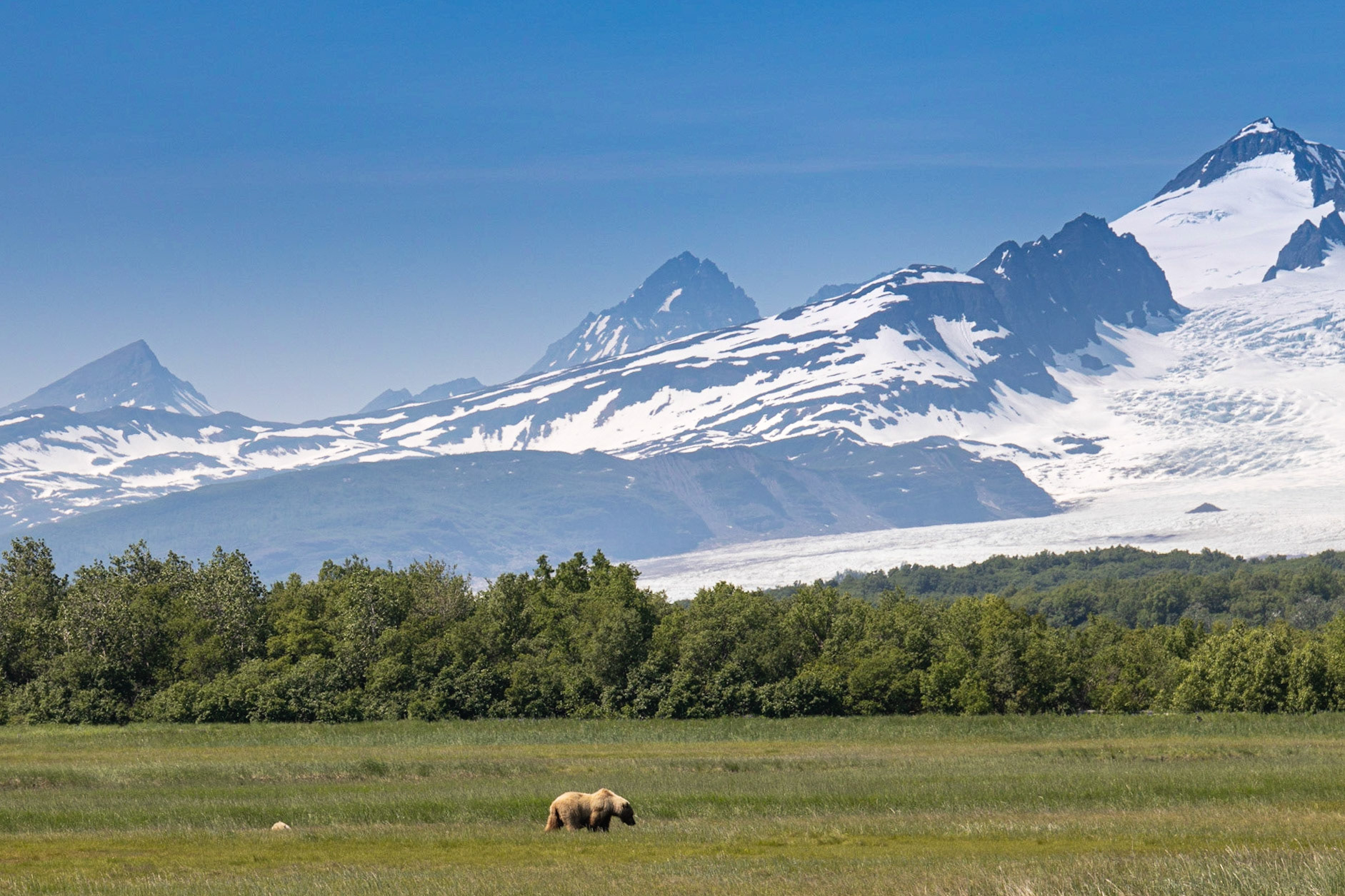 Hallo Bay, Katmai NP, AK
