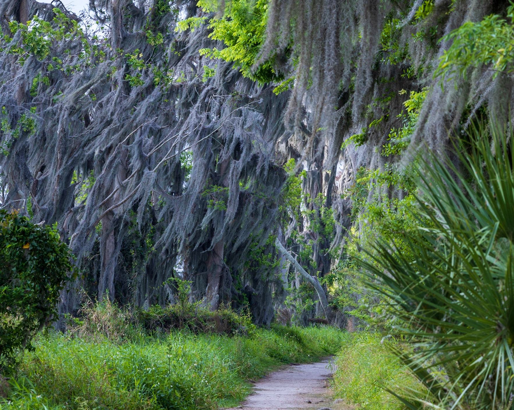 Circle B Bar Reserve FL