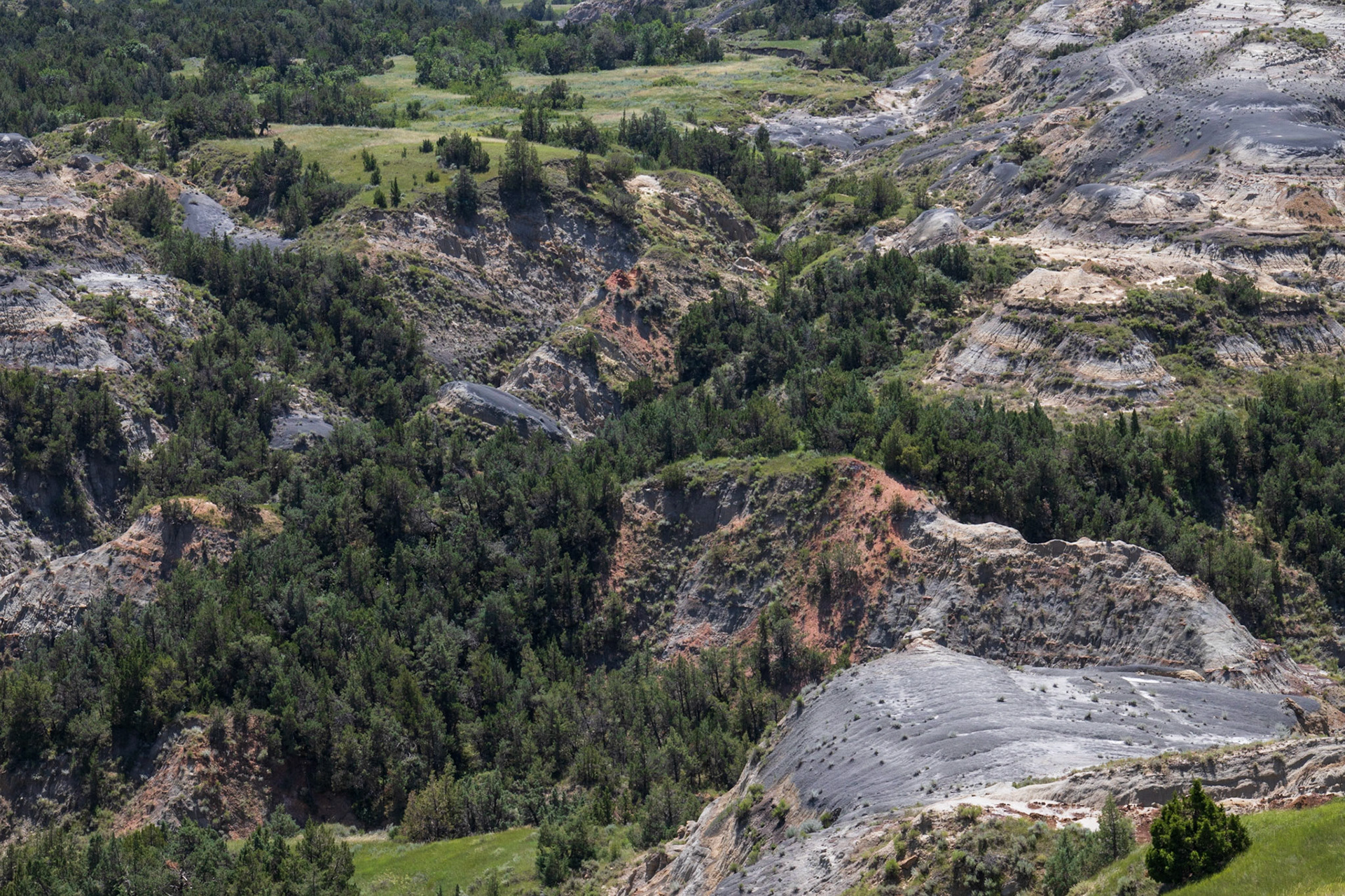 Theodore Roosevelt NP, North Unit, ND
