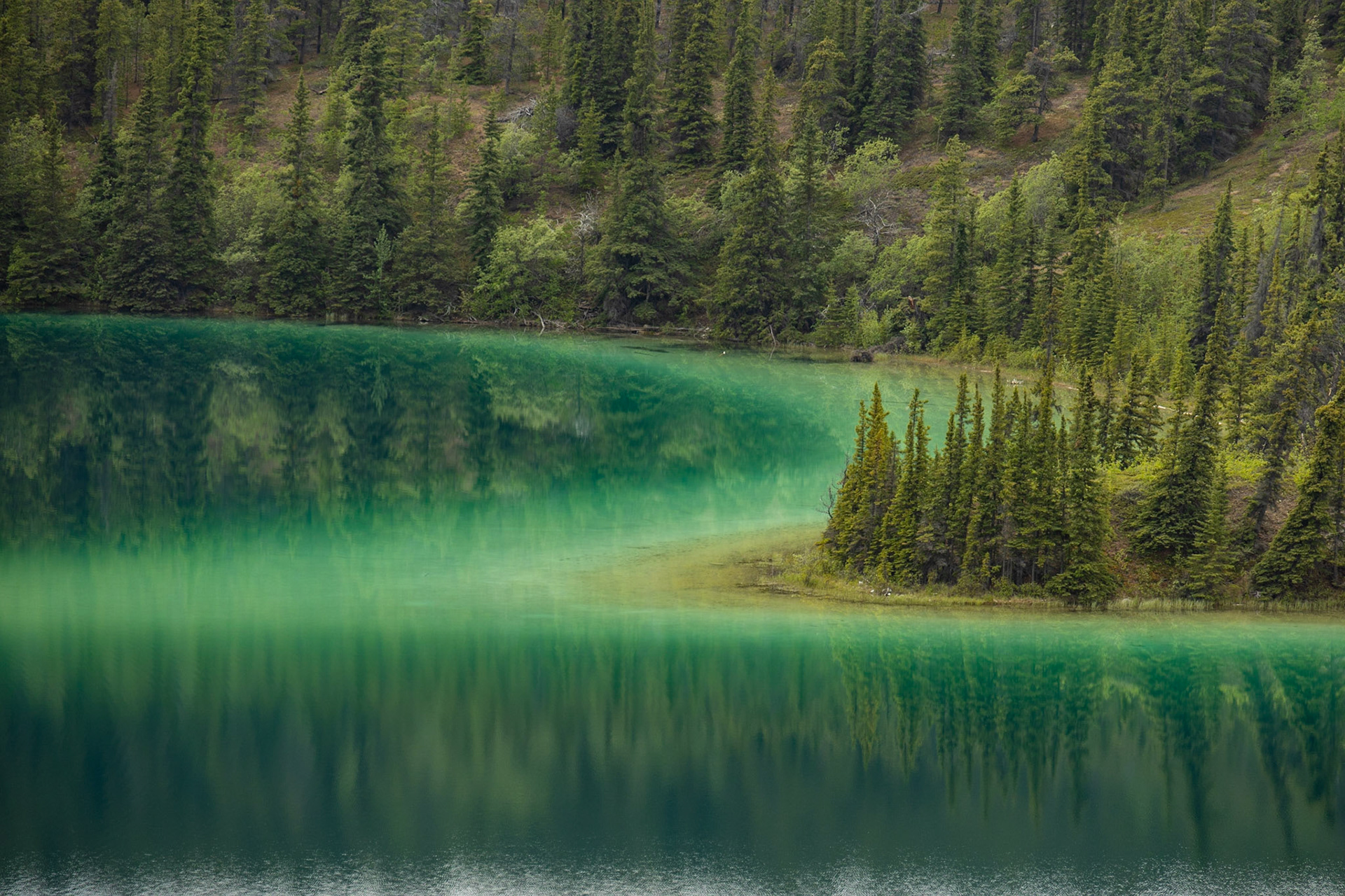Emerald Lake, Yukon