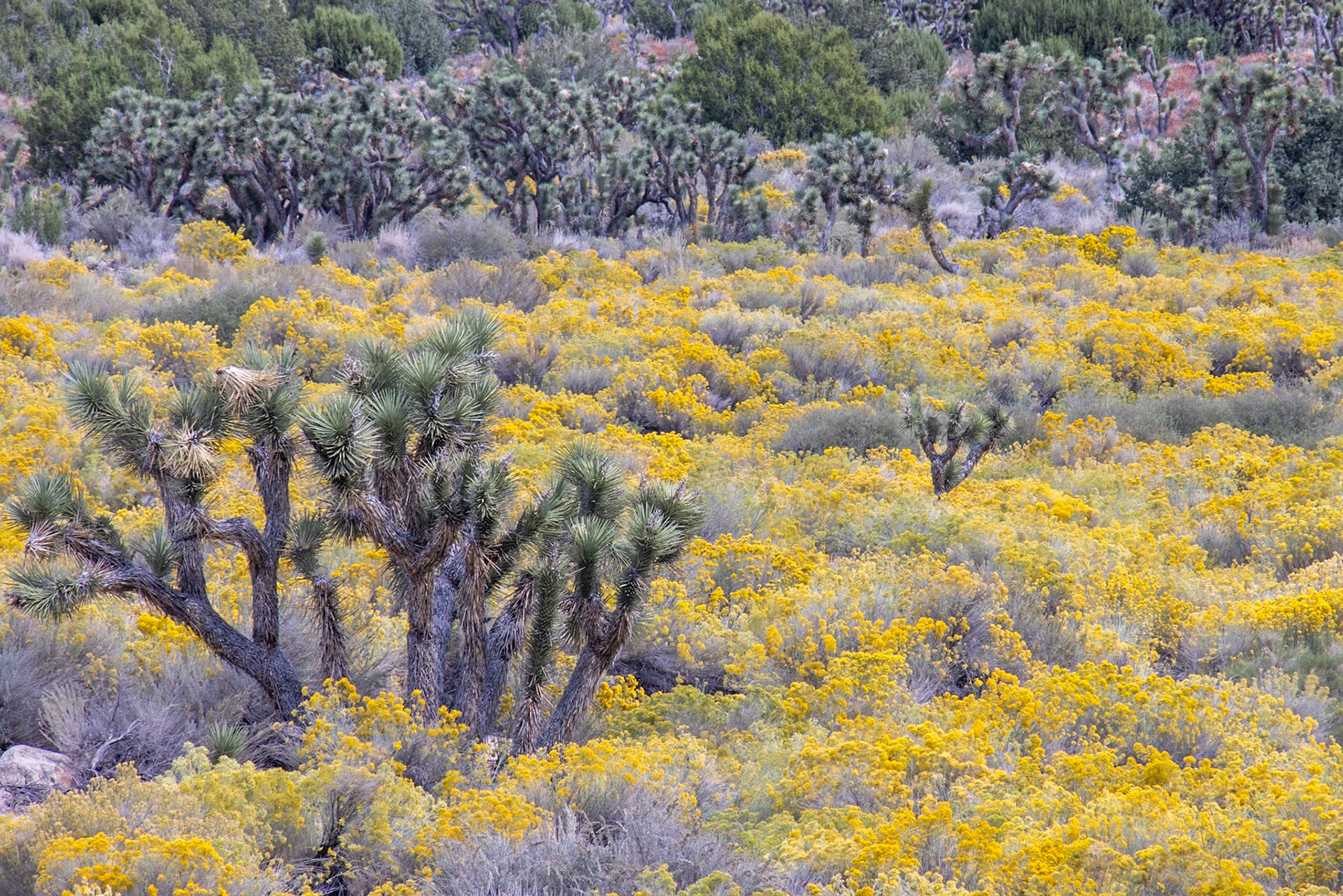State Highway 178, Onyx CA