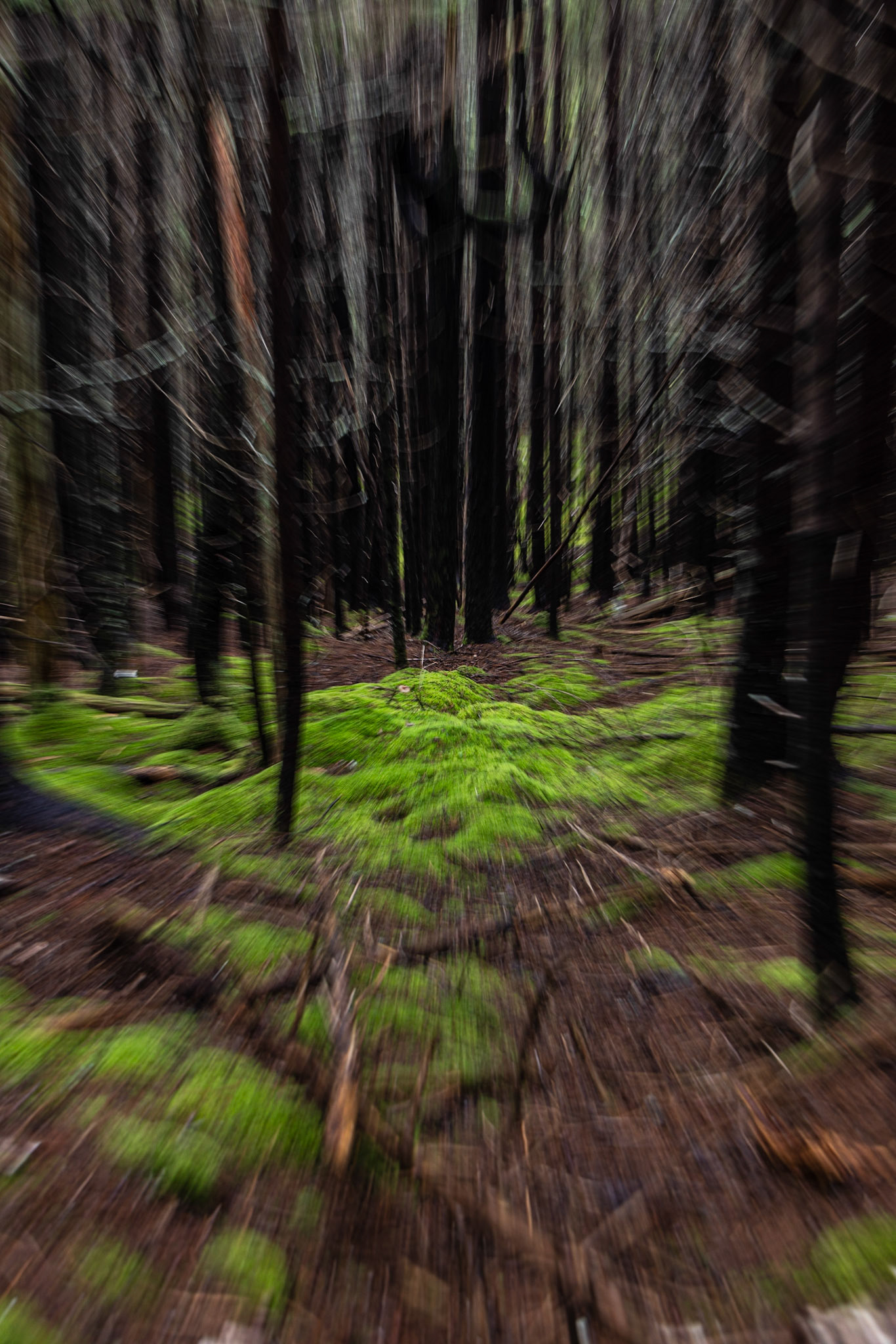Long Beach Brook Falls Trail, NB