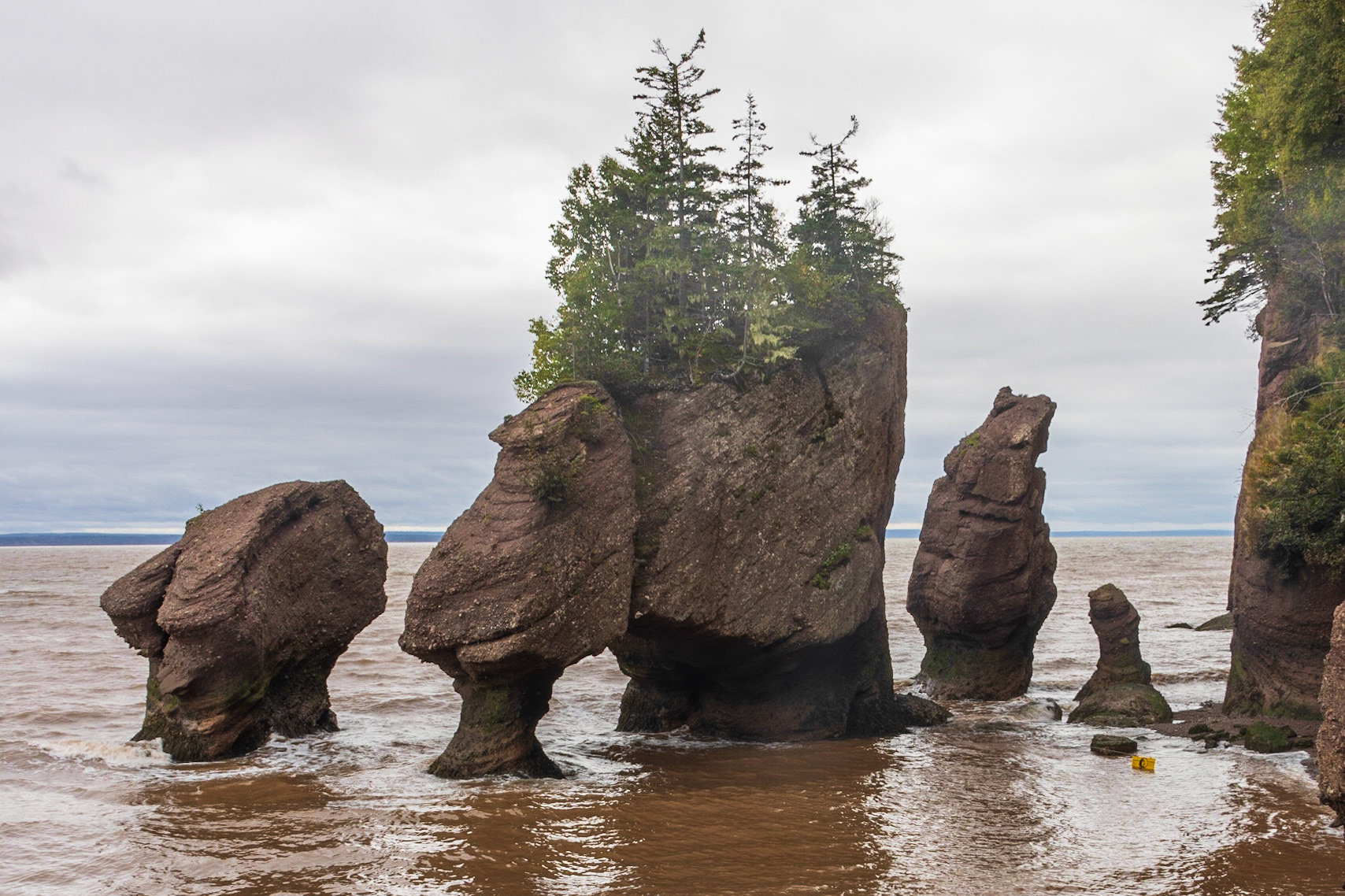 Hopewell Rocks PP, New Brunswick