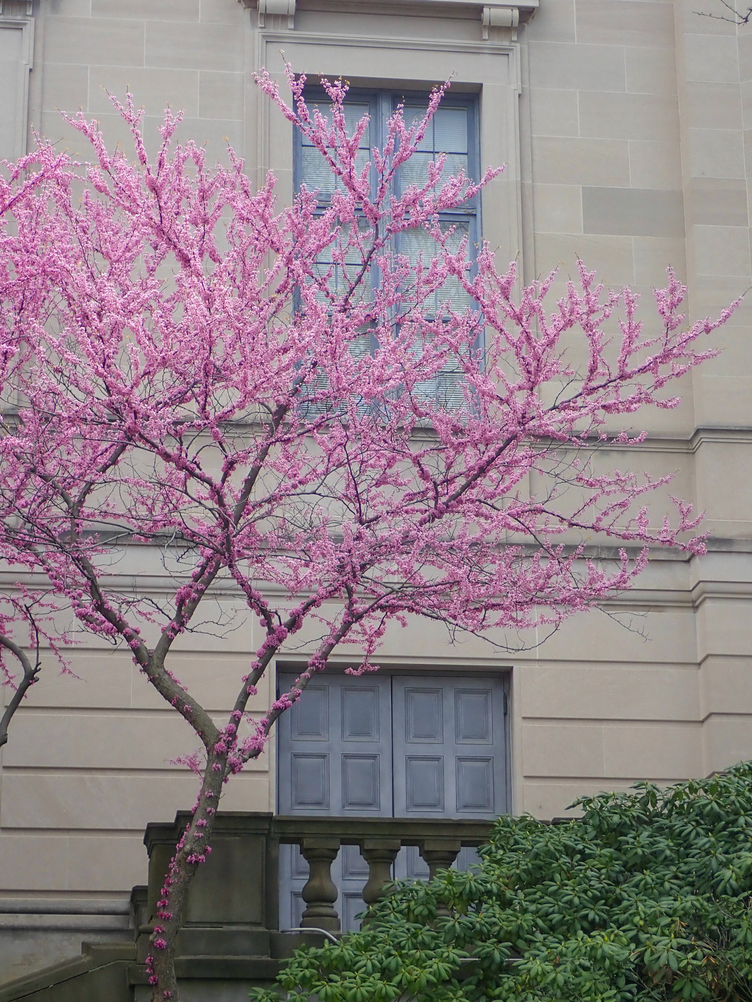 University Cirlcle, Cleveland OH