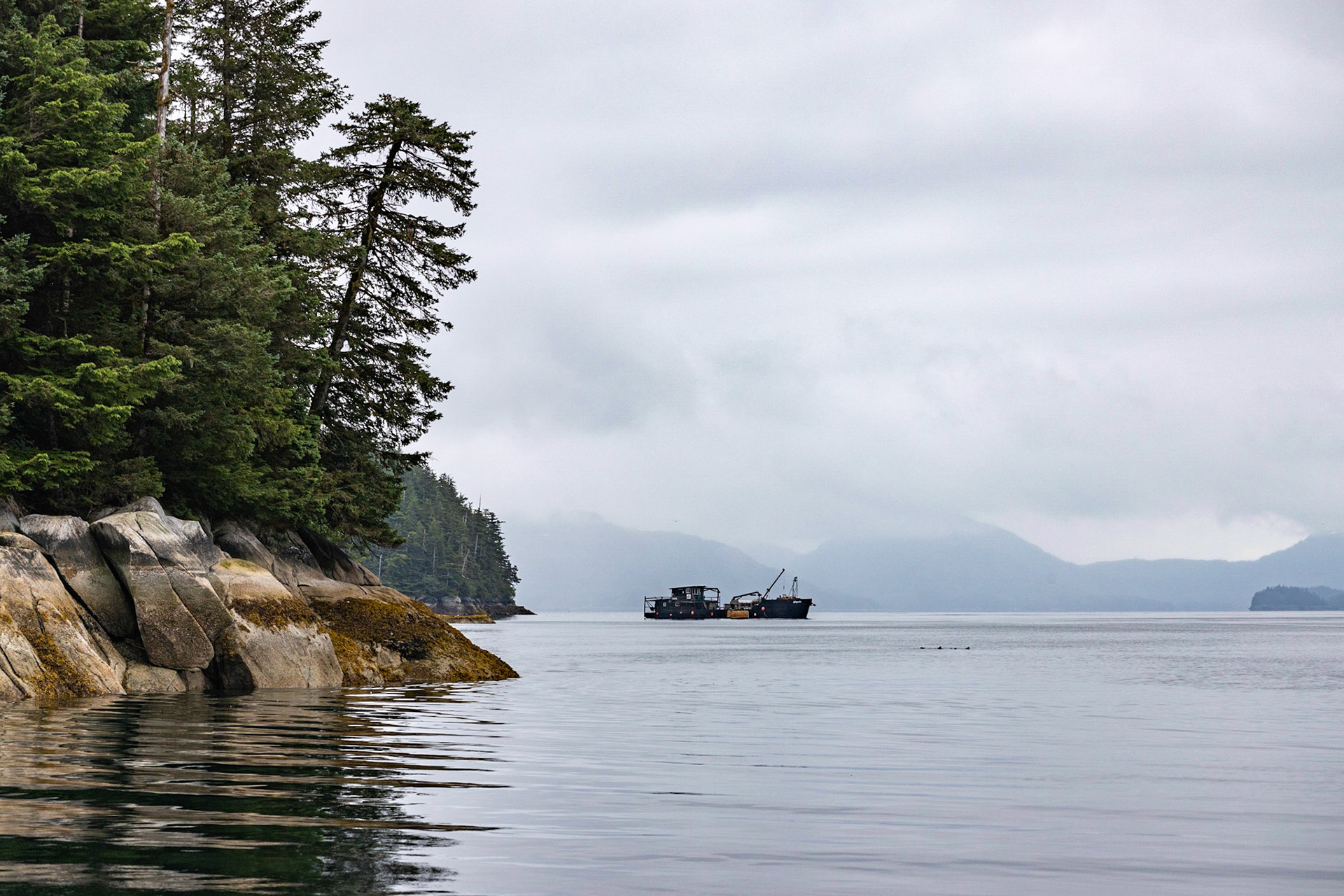 Prince William Sound AK