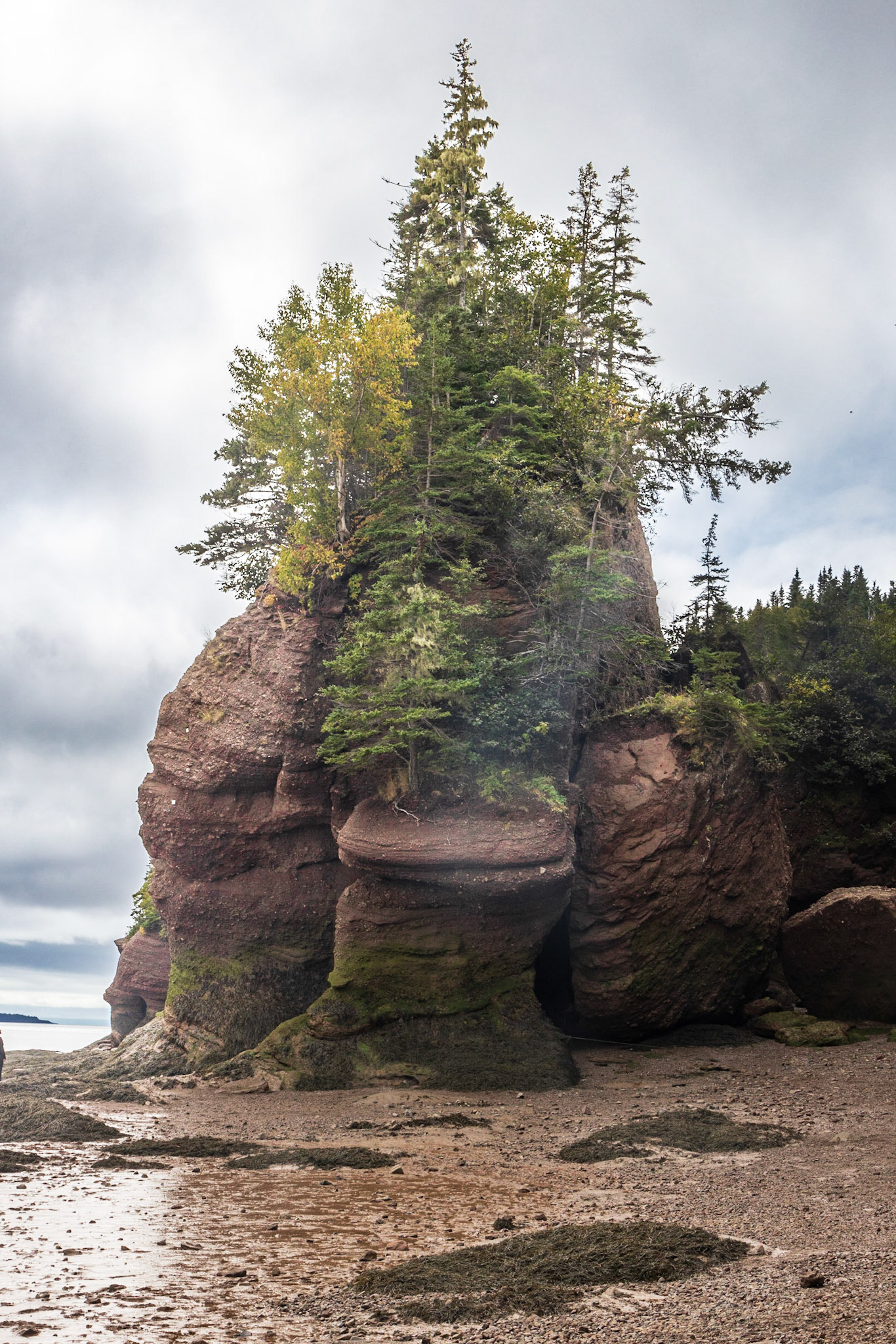 Hopewell Rocks PP, New Brunswick