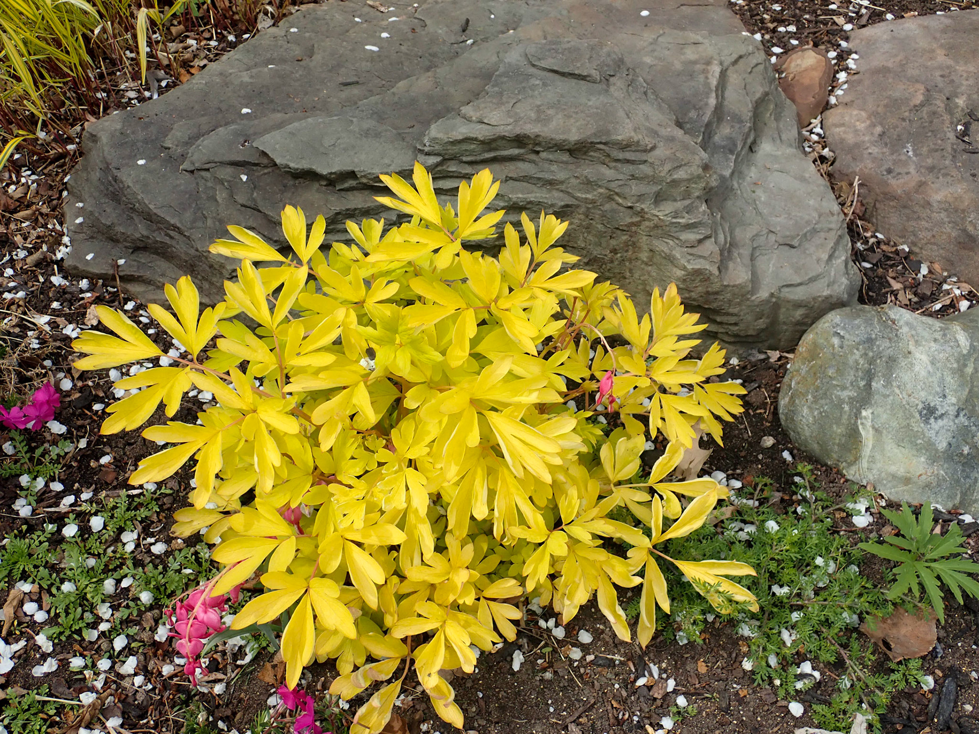 University Circle, Cleveland OH