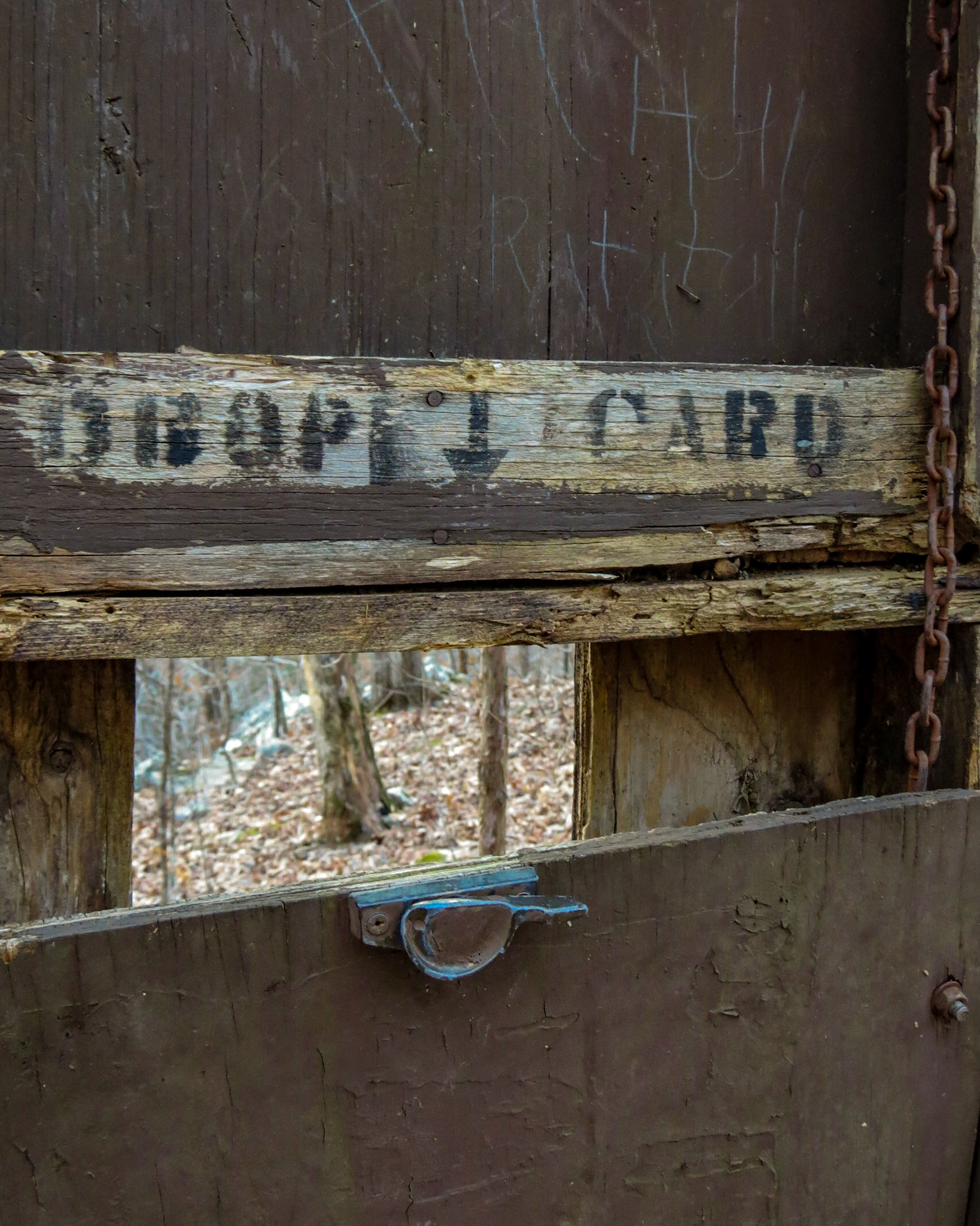 Richland Creek Rec Area, Marshall AR