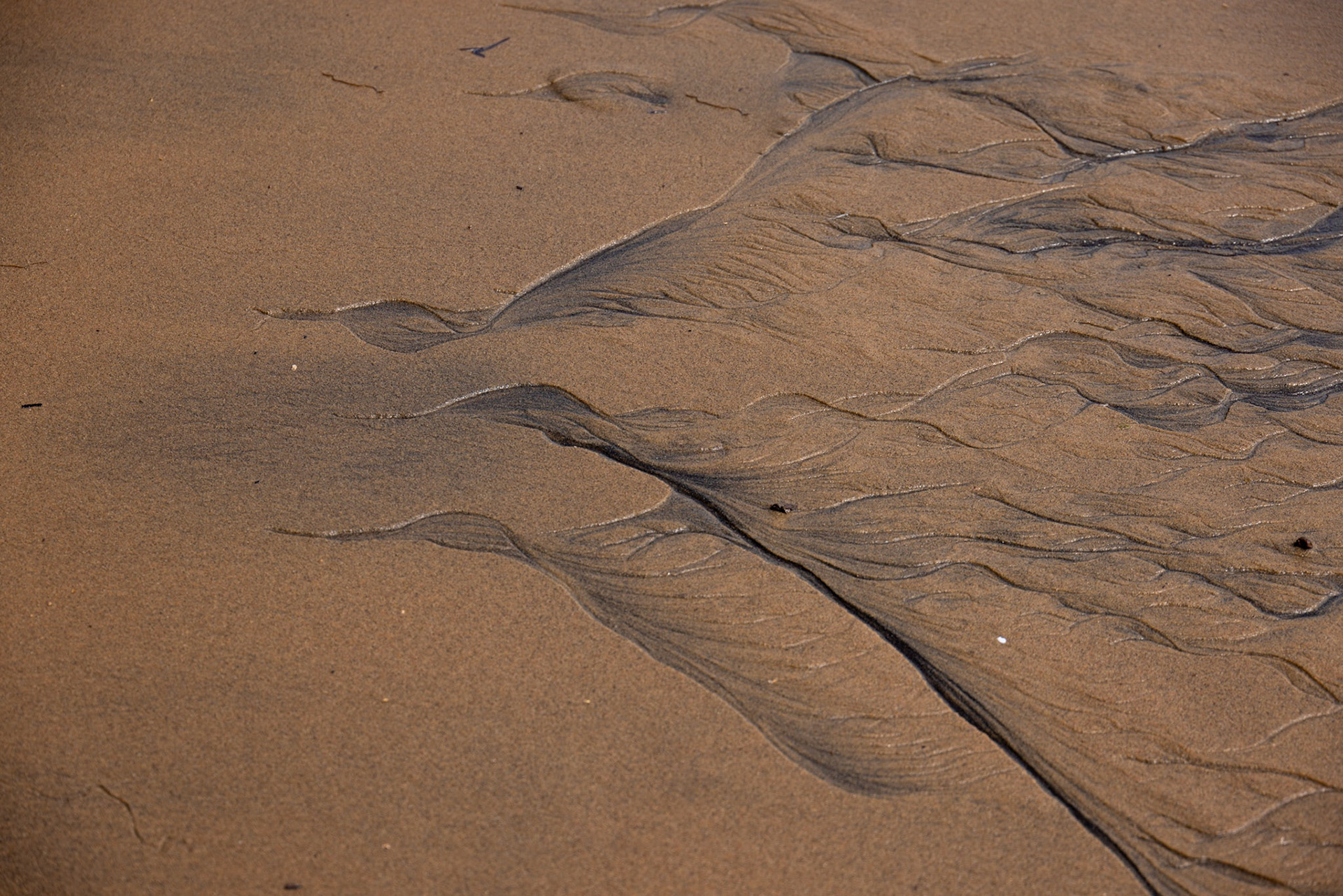 Chemin de l'anse Charron QC
