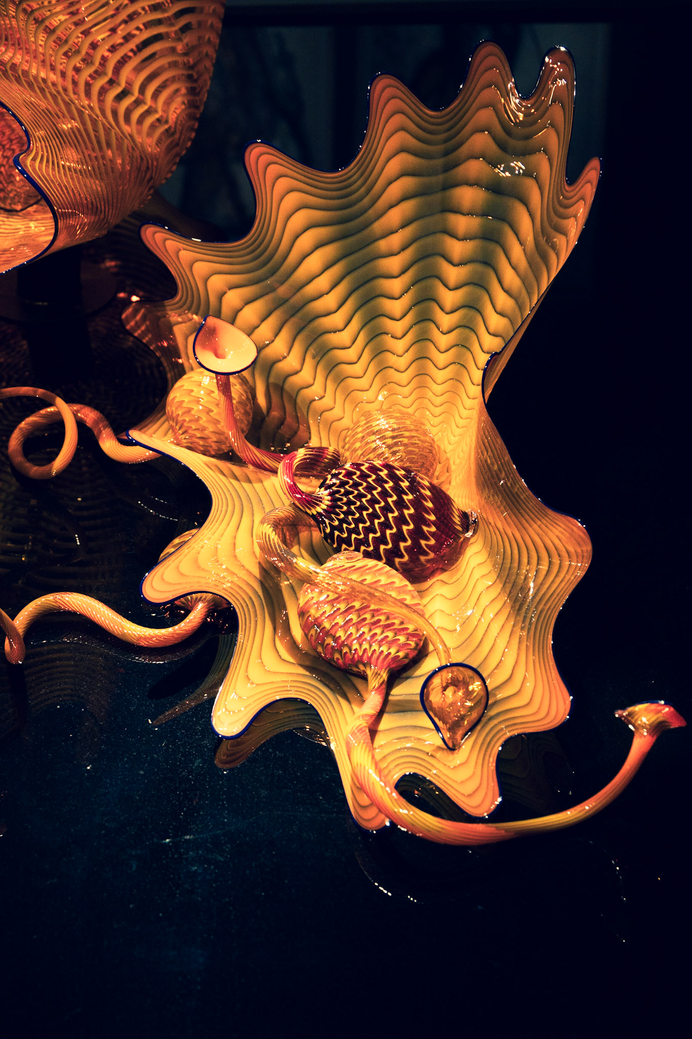 Chuhuly, Desert Botanical Garden, Poenix AZ