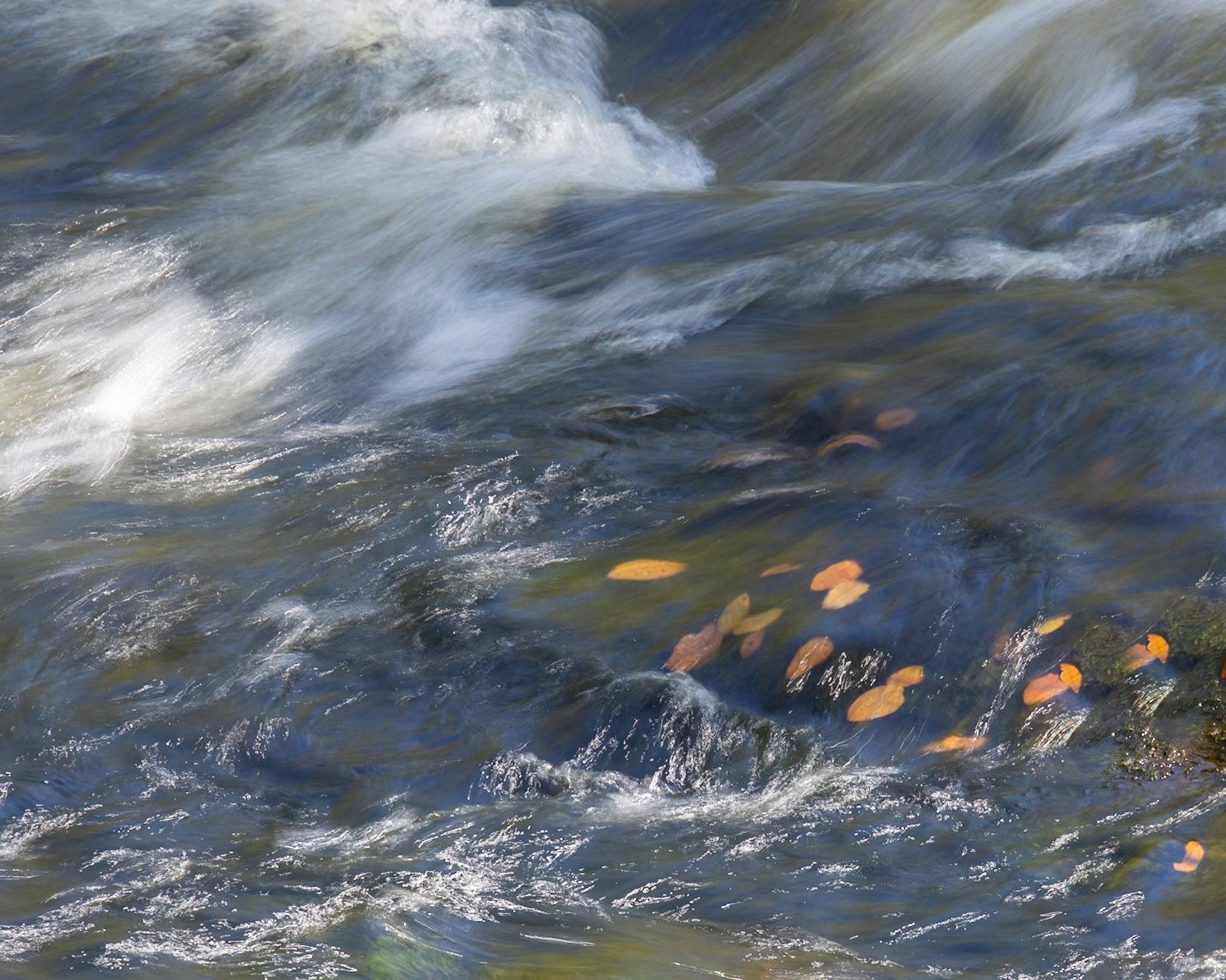 River Rapids Nature Trail, Tampa FL