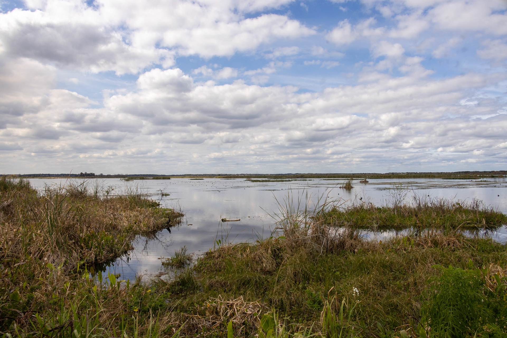 Emeralda Marsh Leesburg FL