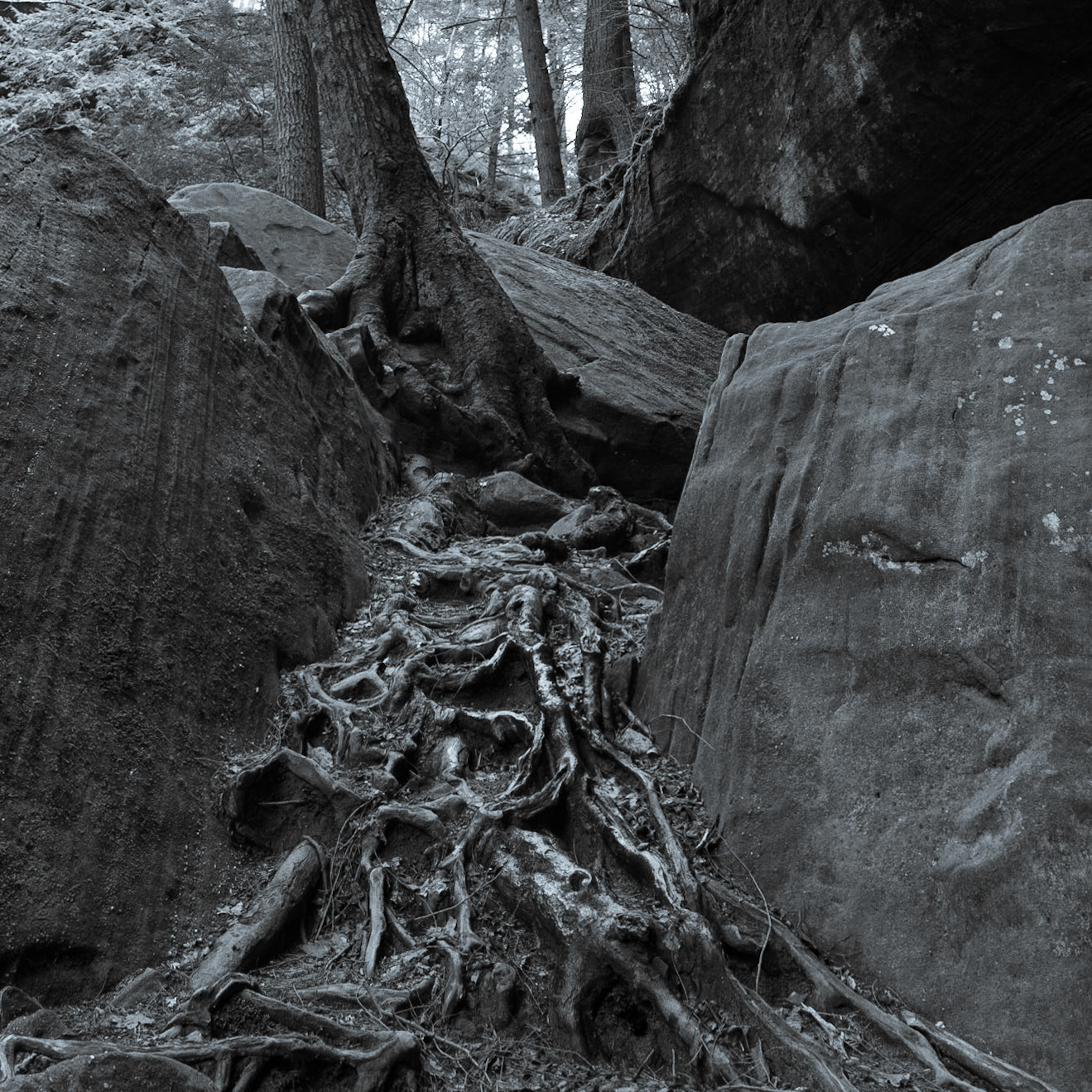 Hocking Hills State Park, Ohio