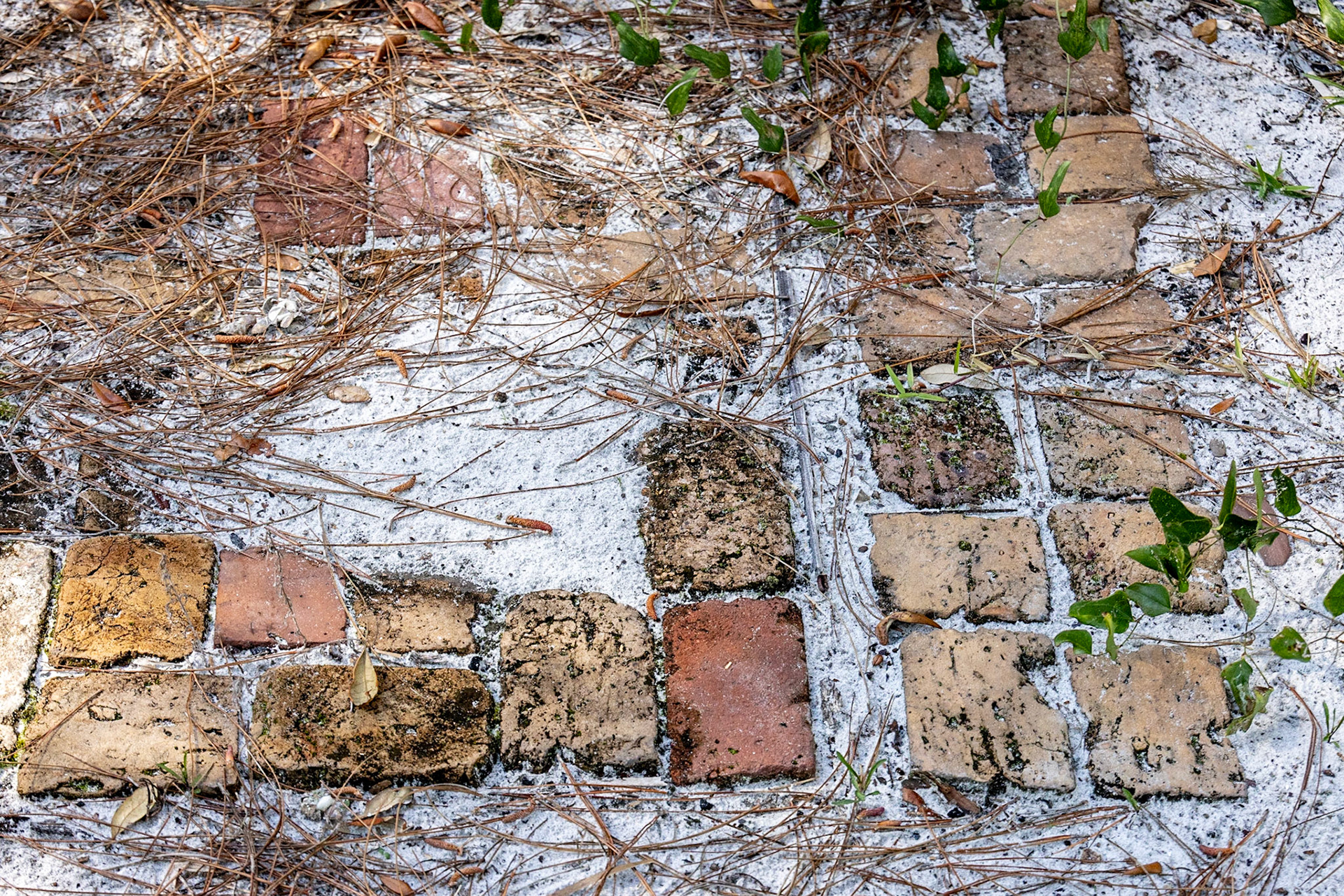 Marshall House, Cape St George, FL