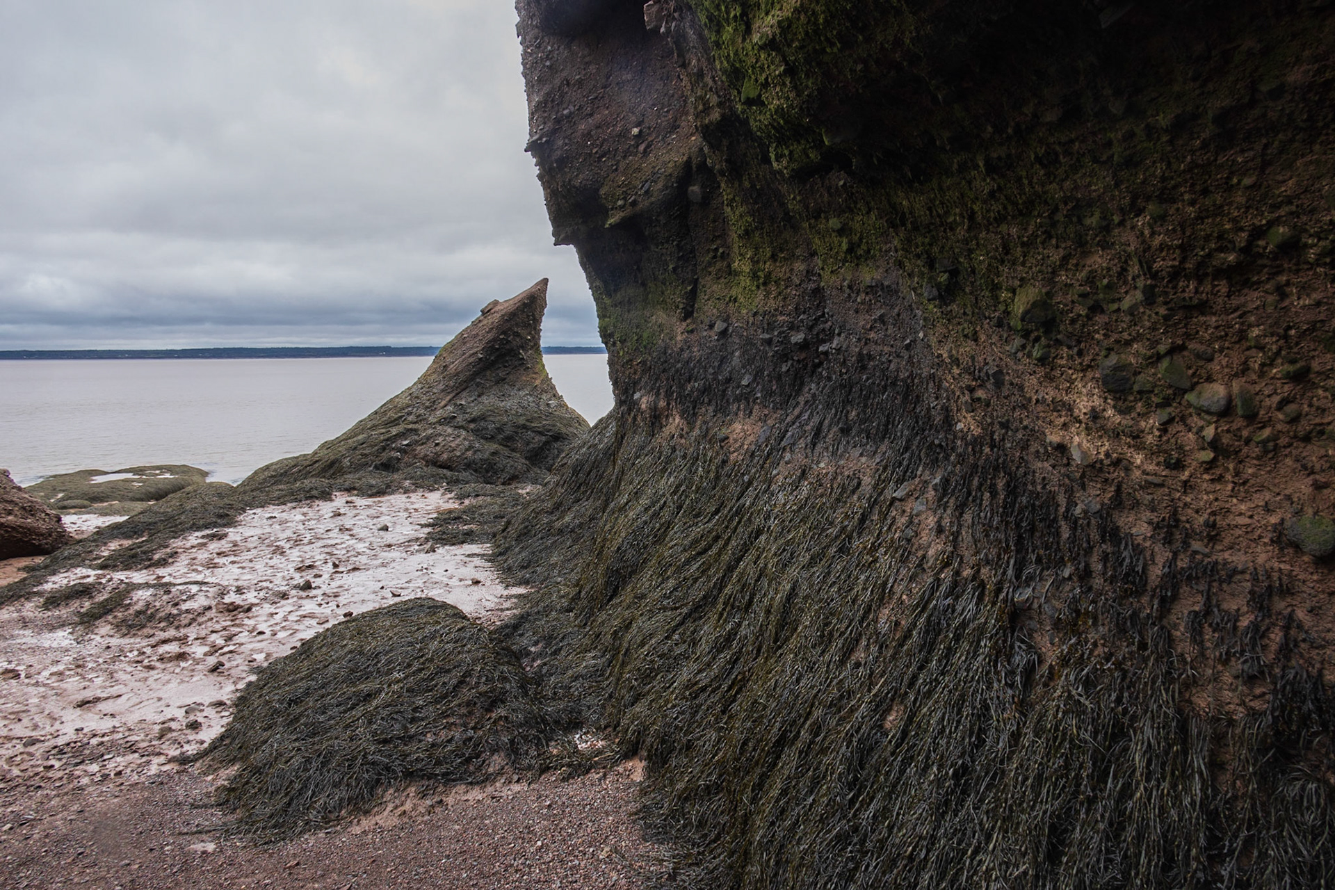 Hopewell Rocks PP, New Brunswick