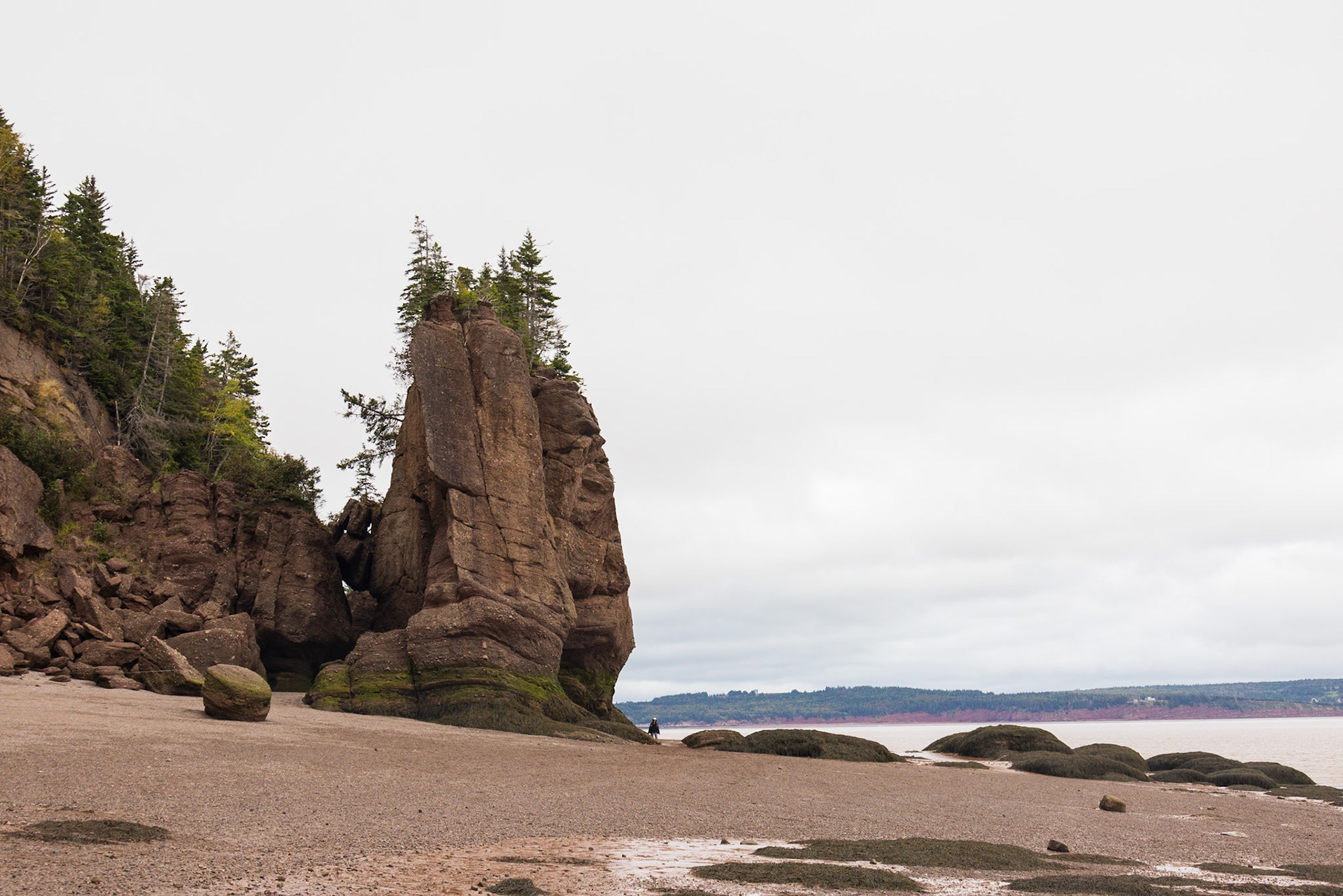 Hopewell Rocks PP, New Brunswick