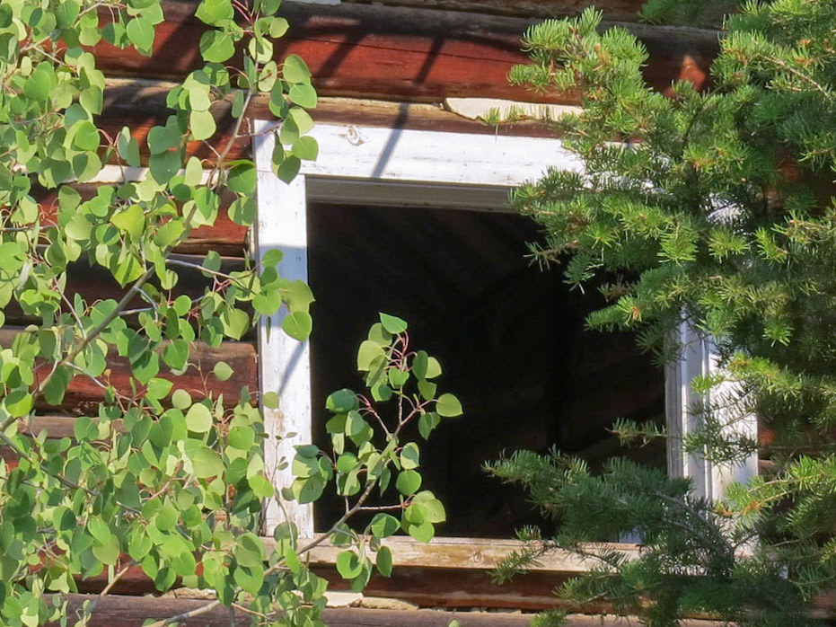 Mill Creek, Tobbacco Root Mts  MT