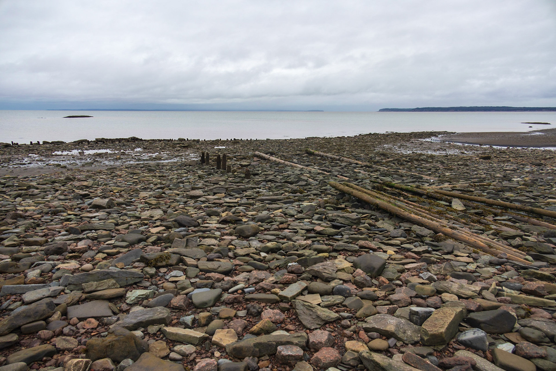 Joggins Fossil Cliffs,