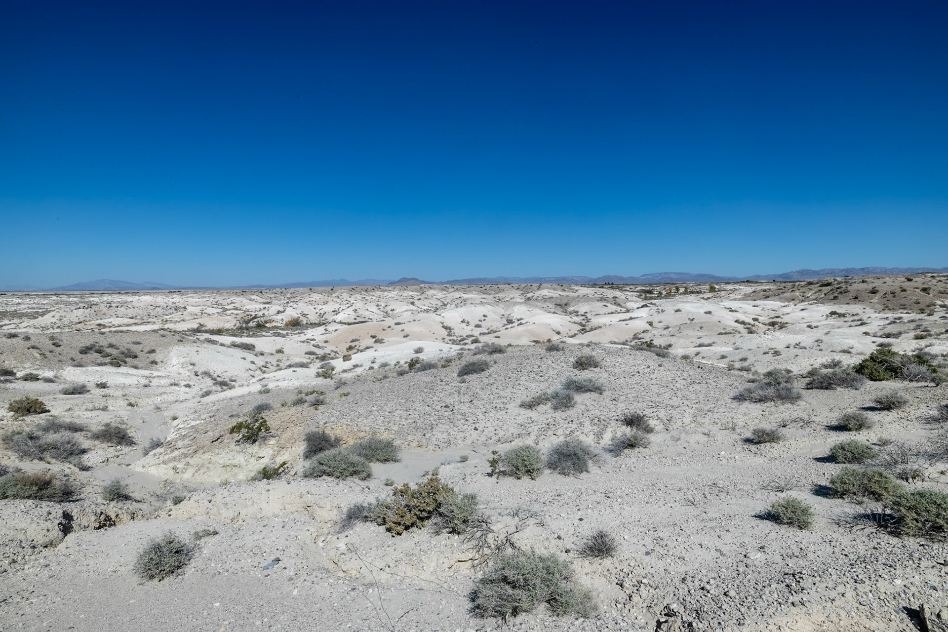 Ash Meadows National Wildlife Reserve, Pahrump NV