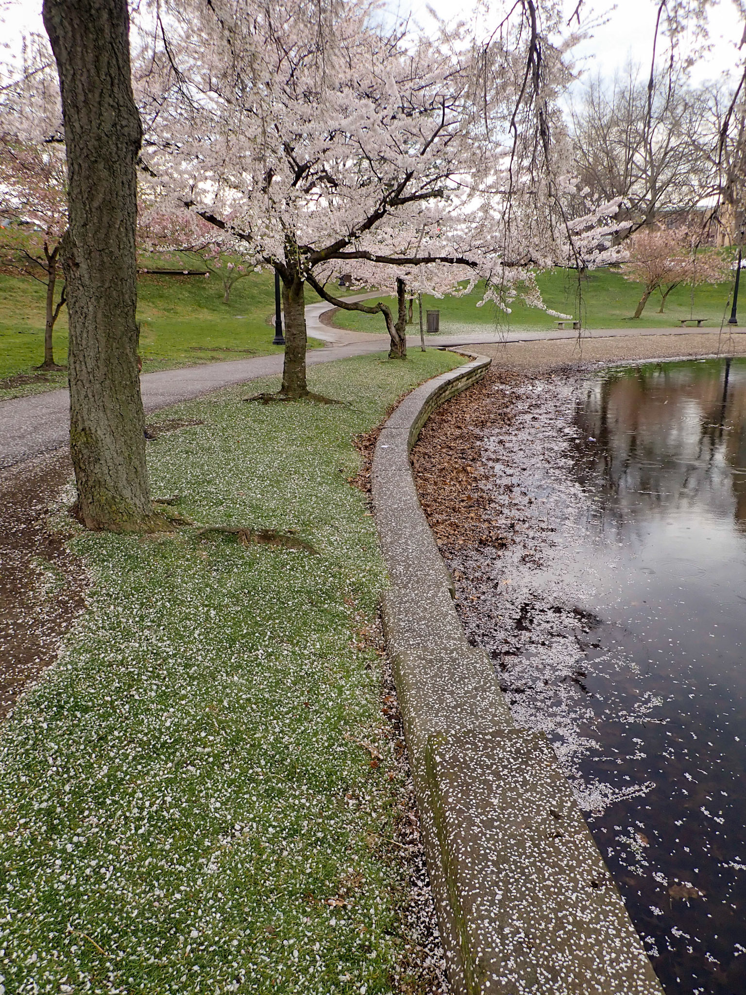 Wade Park, Cleveland OH