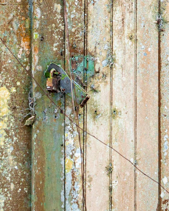 Avery Island Jungle Gardens LA