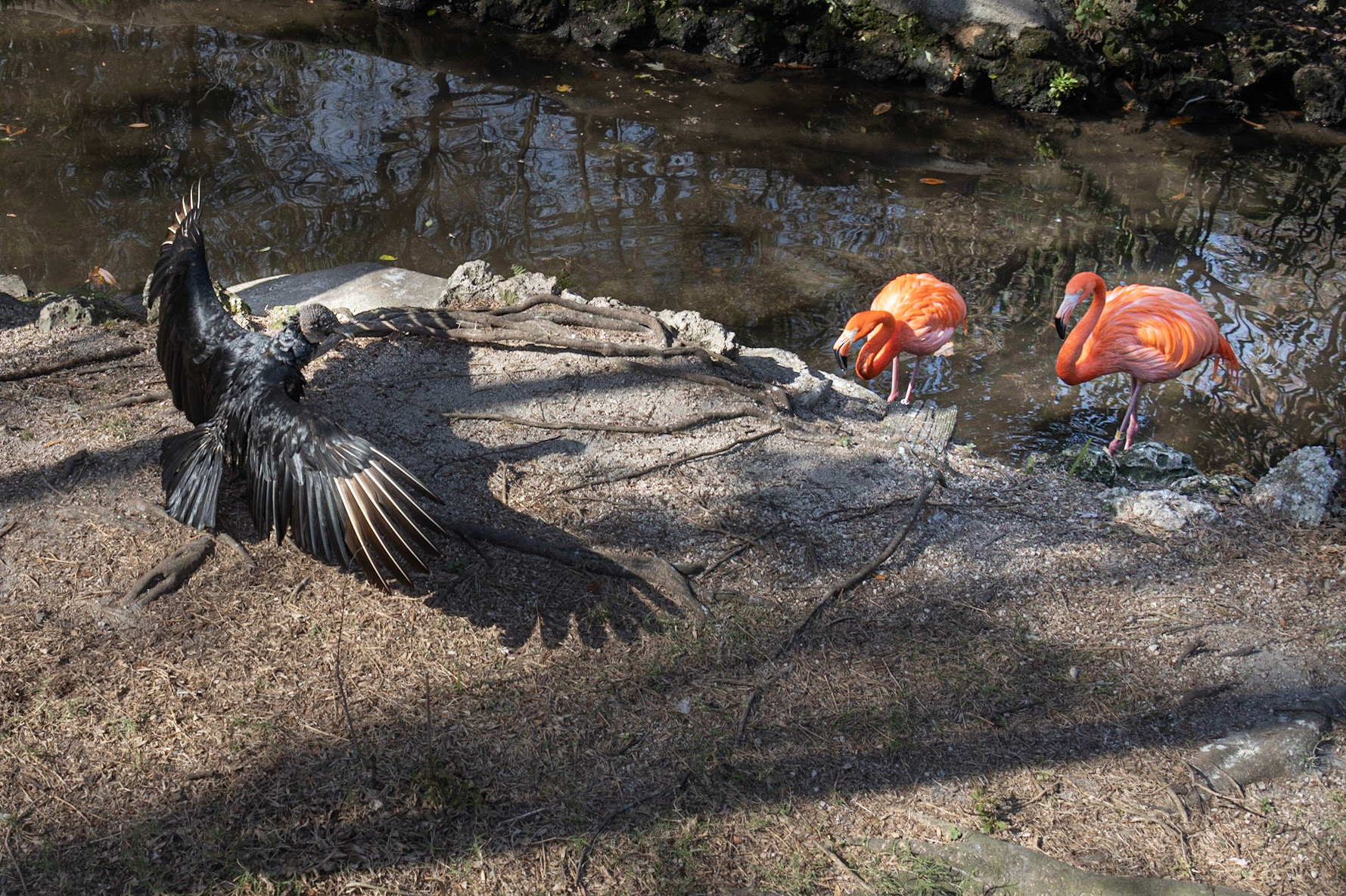 Ellie Schiller Wildlife SP