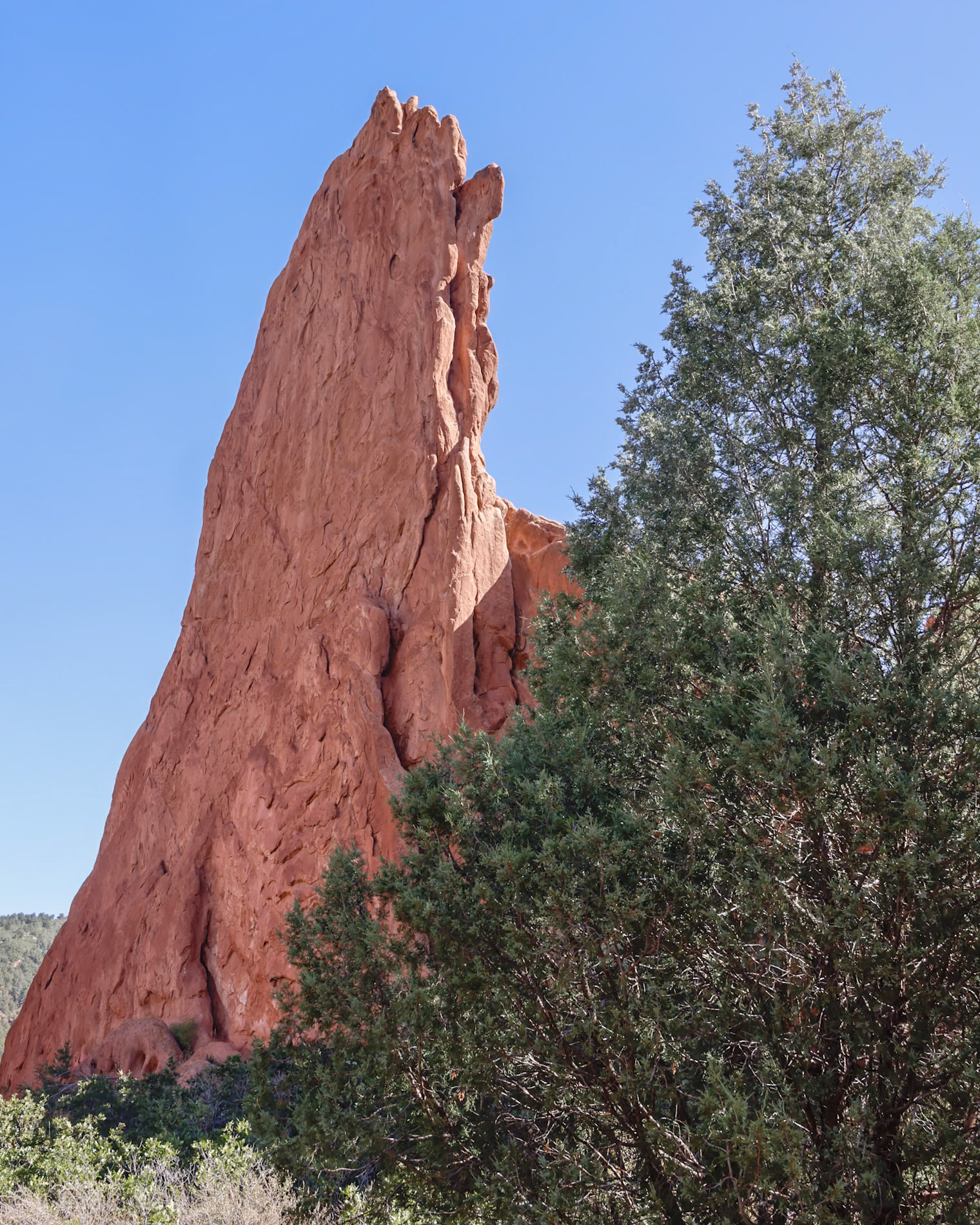 Garden of the Gods,  Colorado Springs CO
