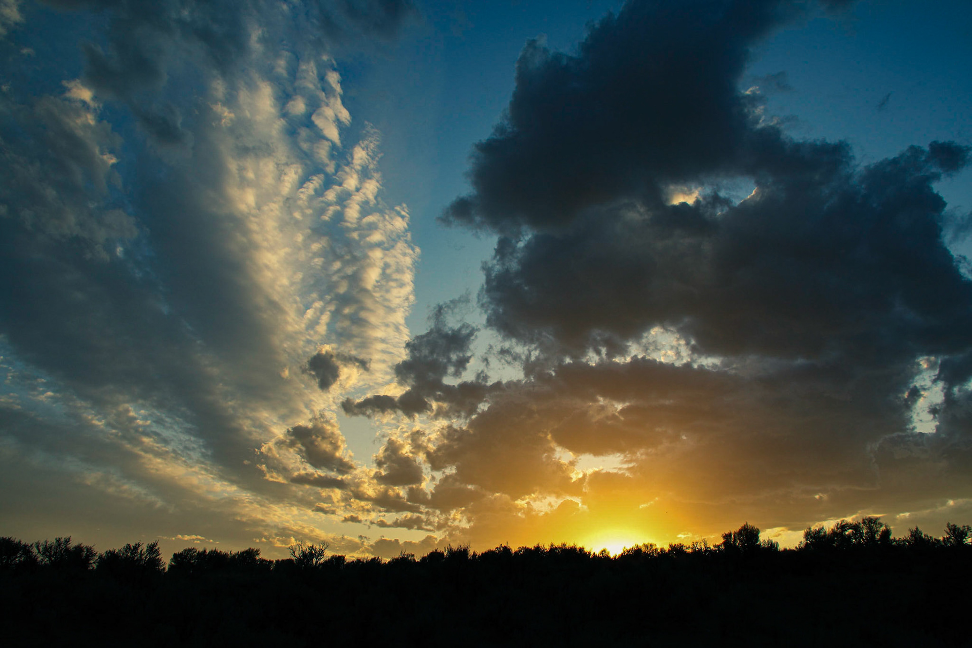 BLM, Sage Junction ID