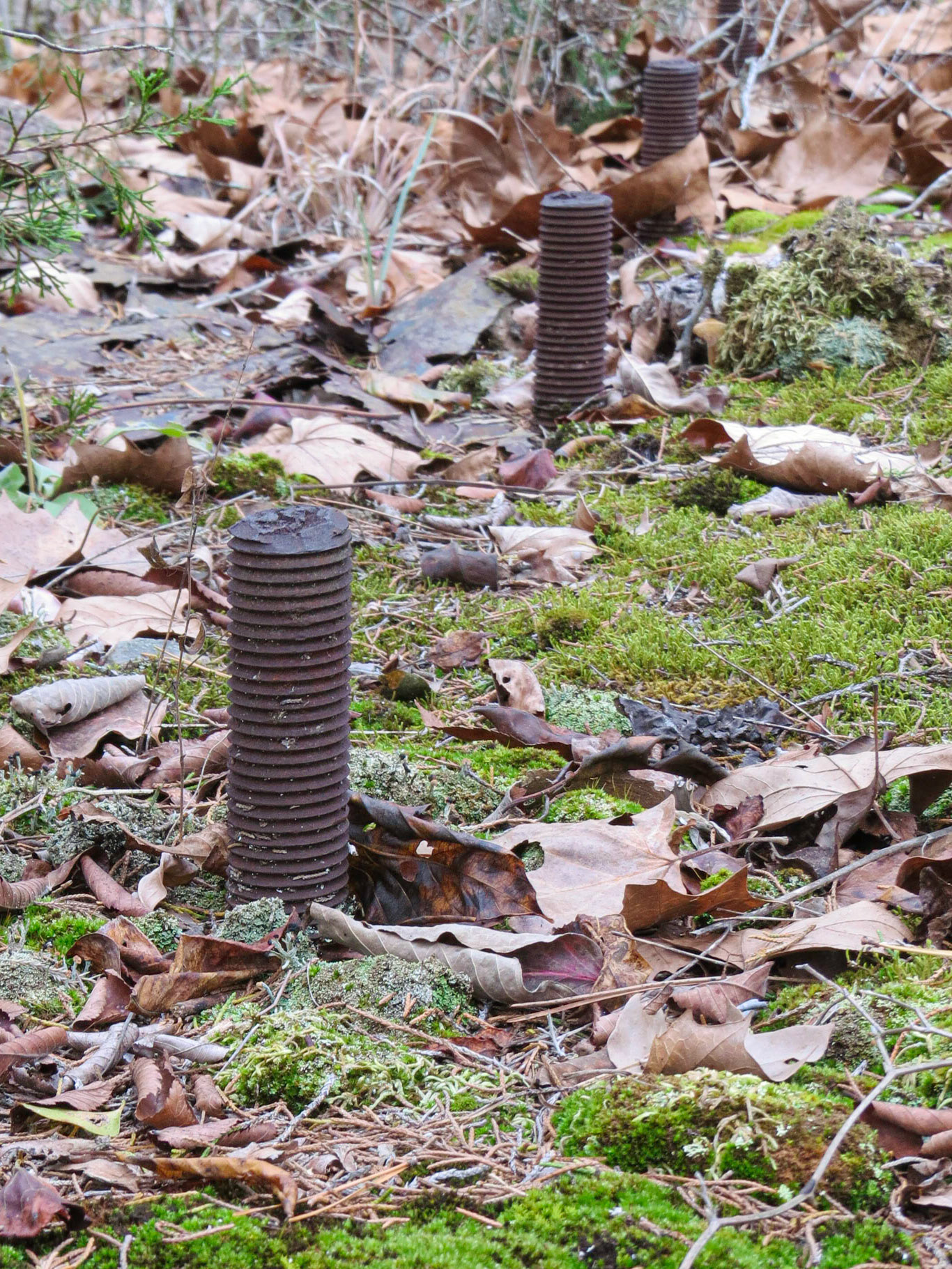 Rush Ghost Townn Yellville, AR