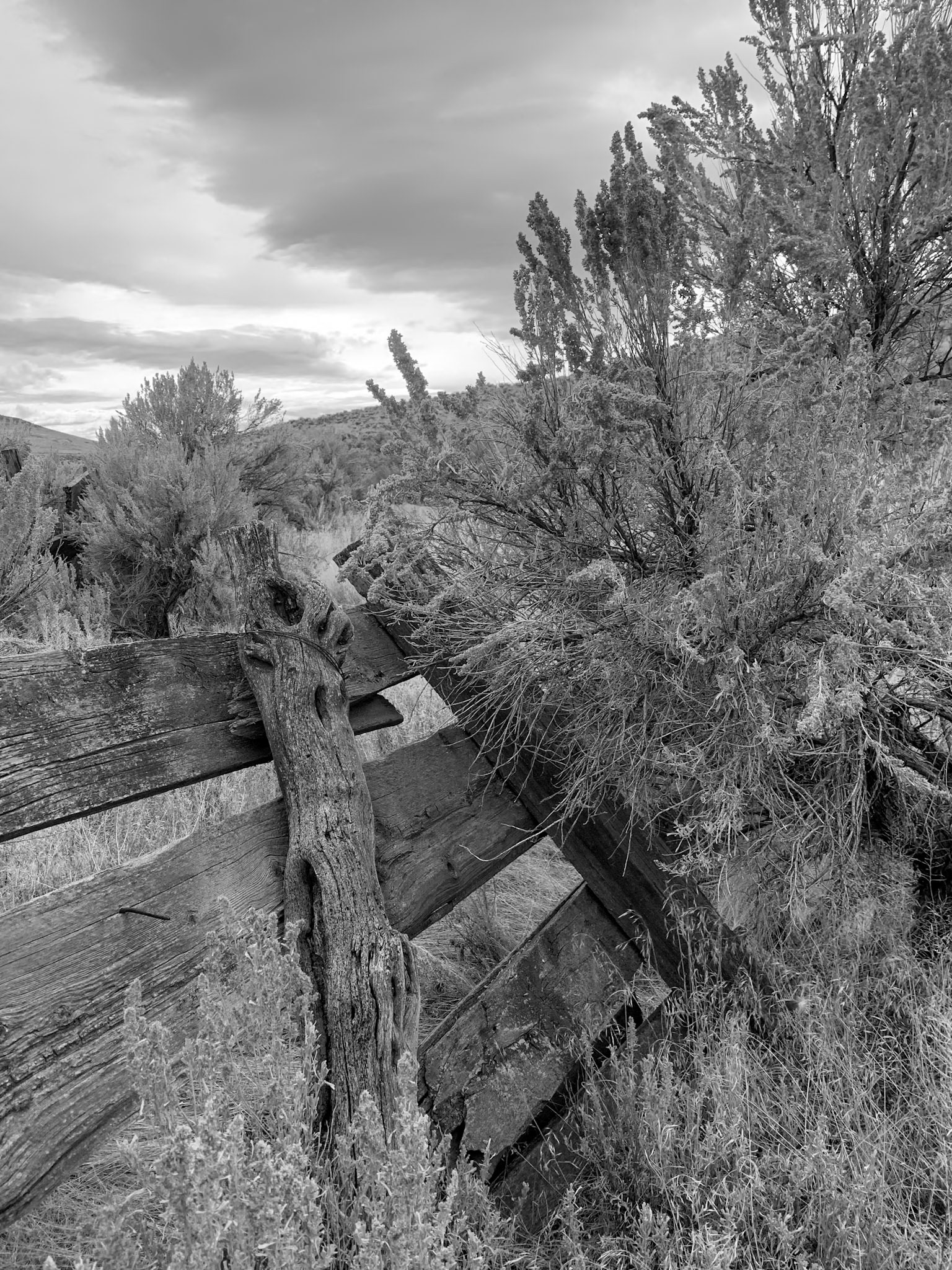 North Black Rock Range Wilderness, NV