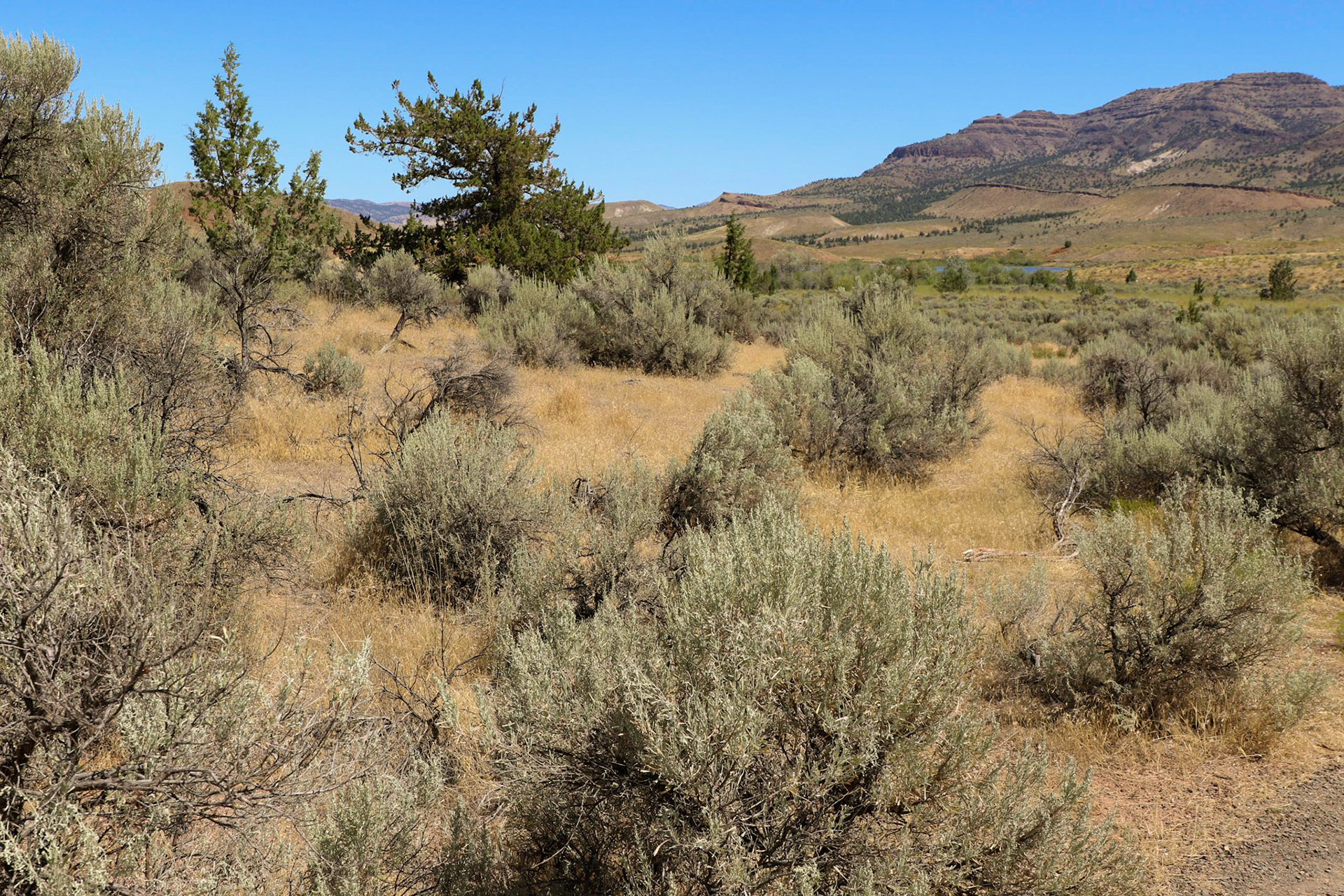 Painted Hills, John Day Fossil Beds NM OR