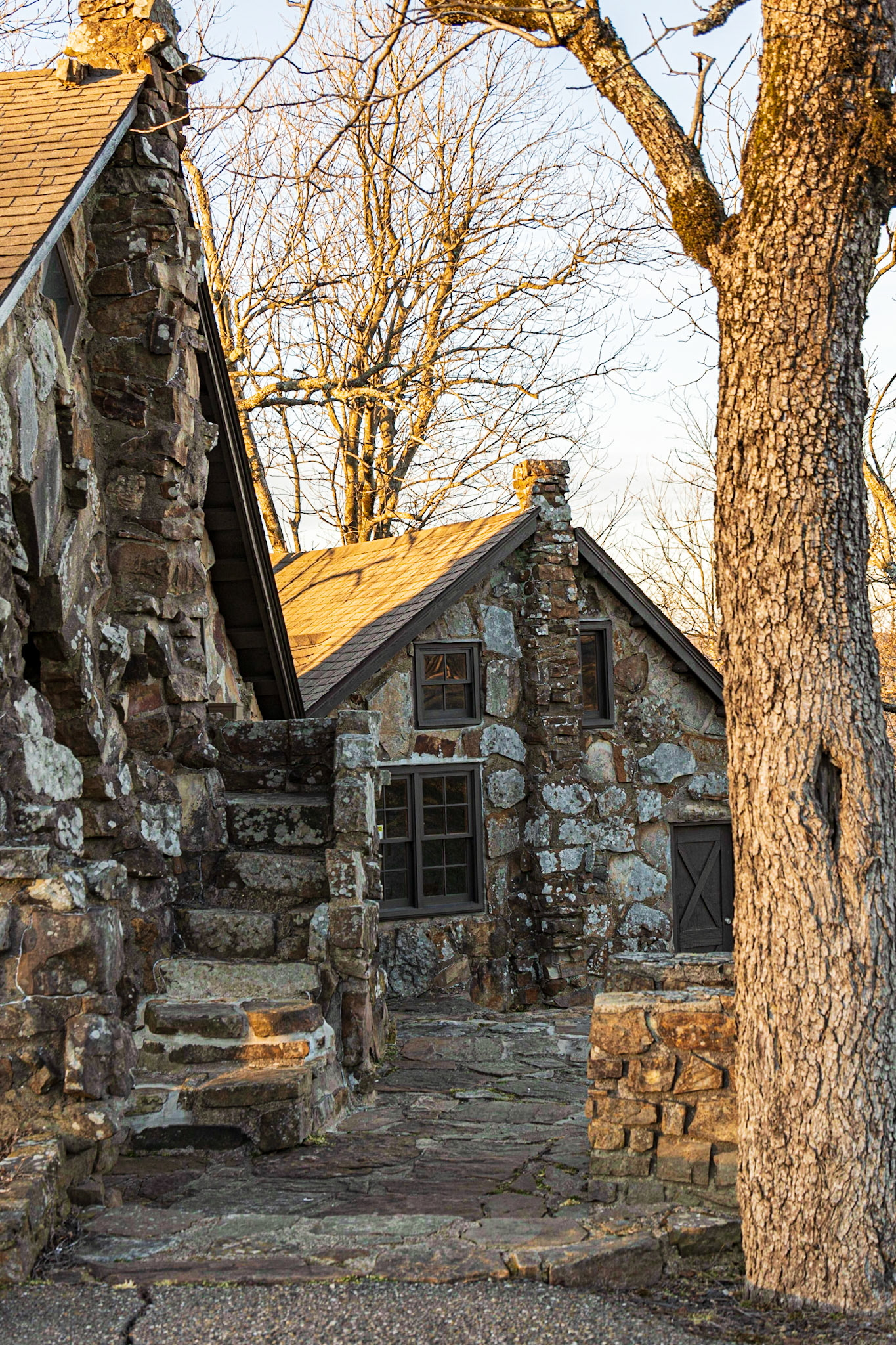 CE Foster 'Wonder House'