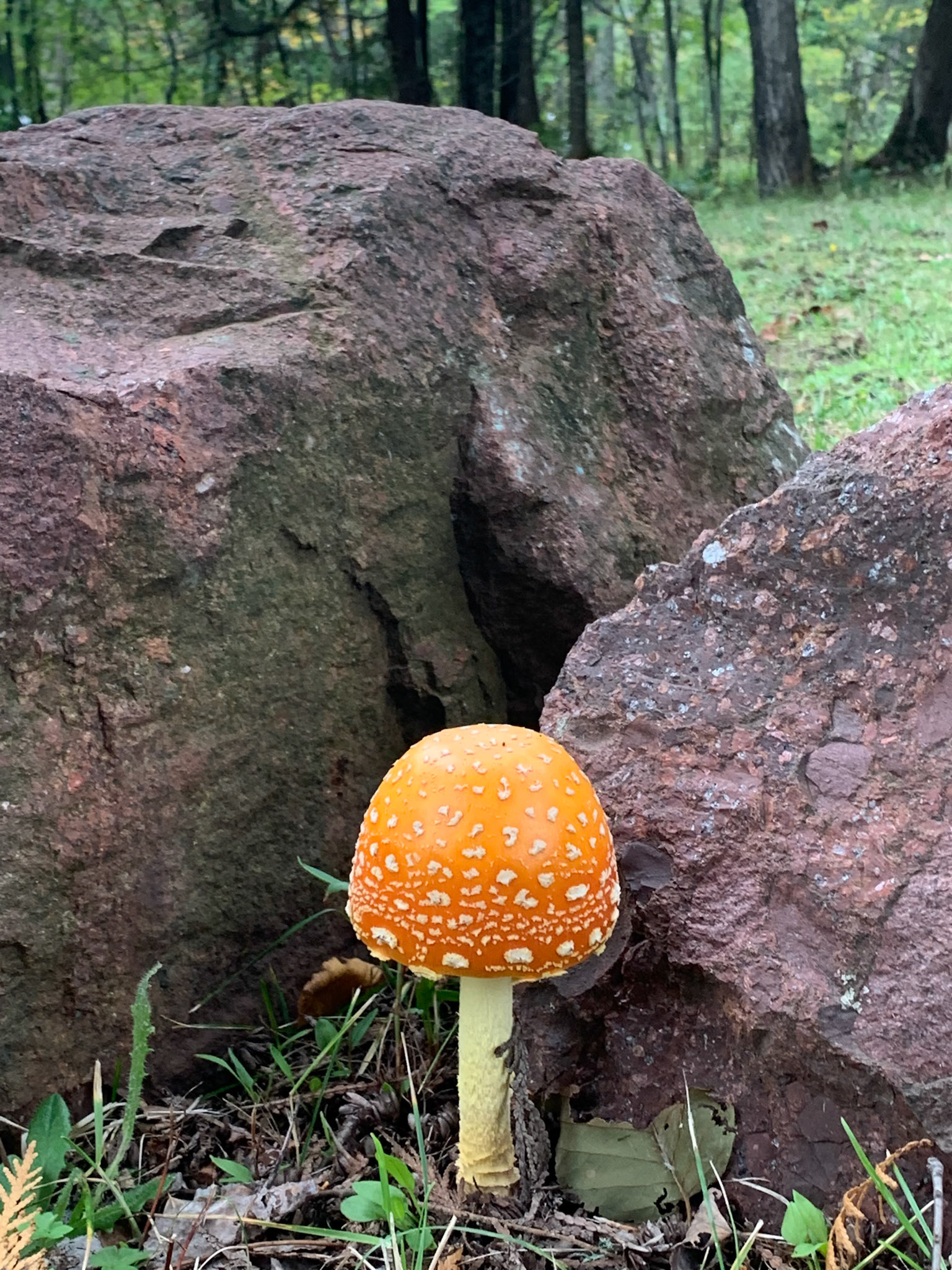 Fort Wilkins Historic SP UP MI