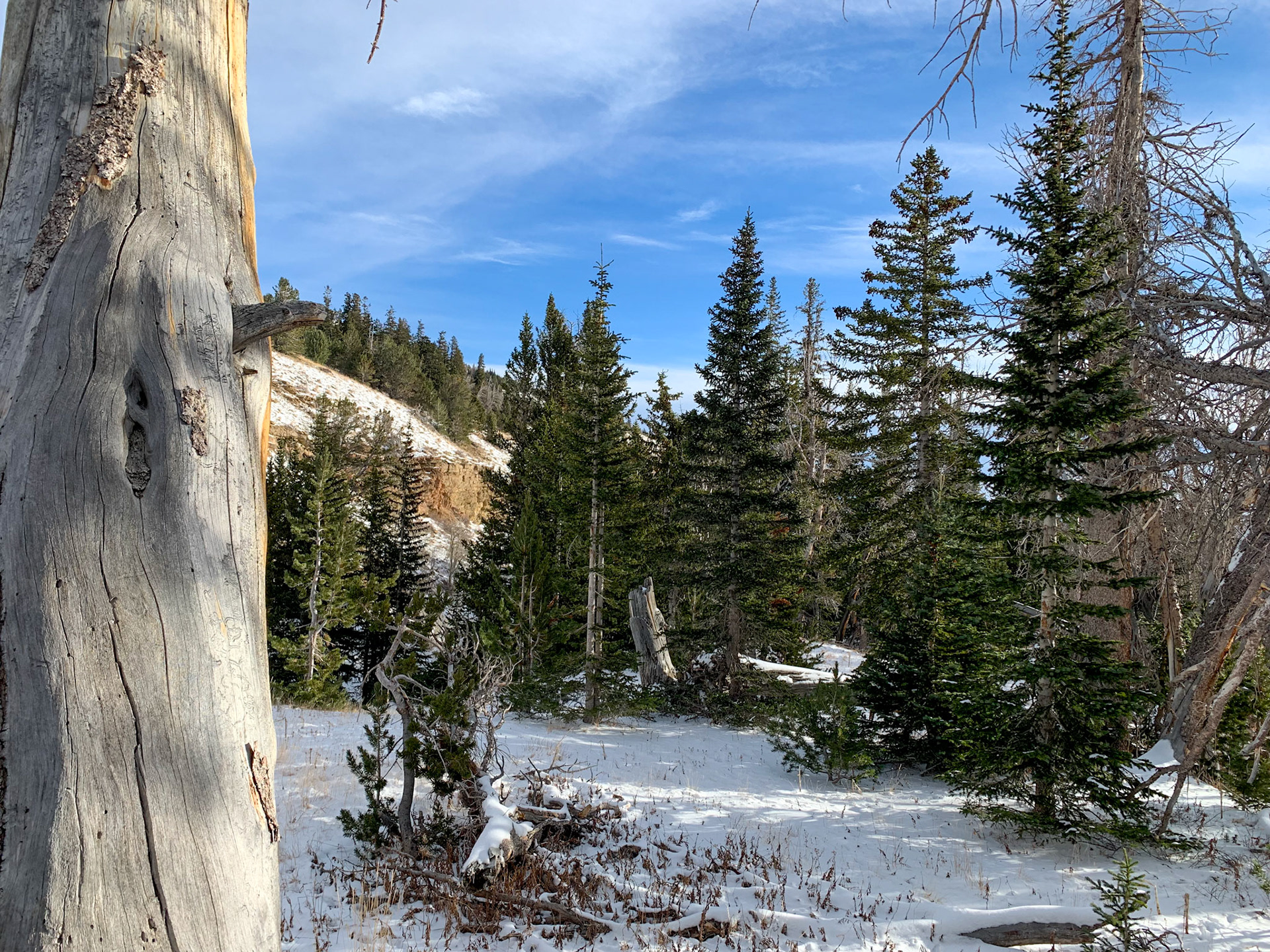 Whiskey Mountain Trail, Dubois WY