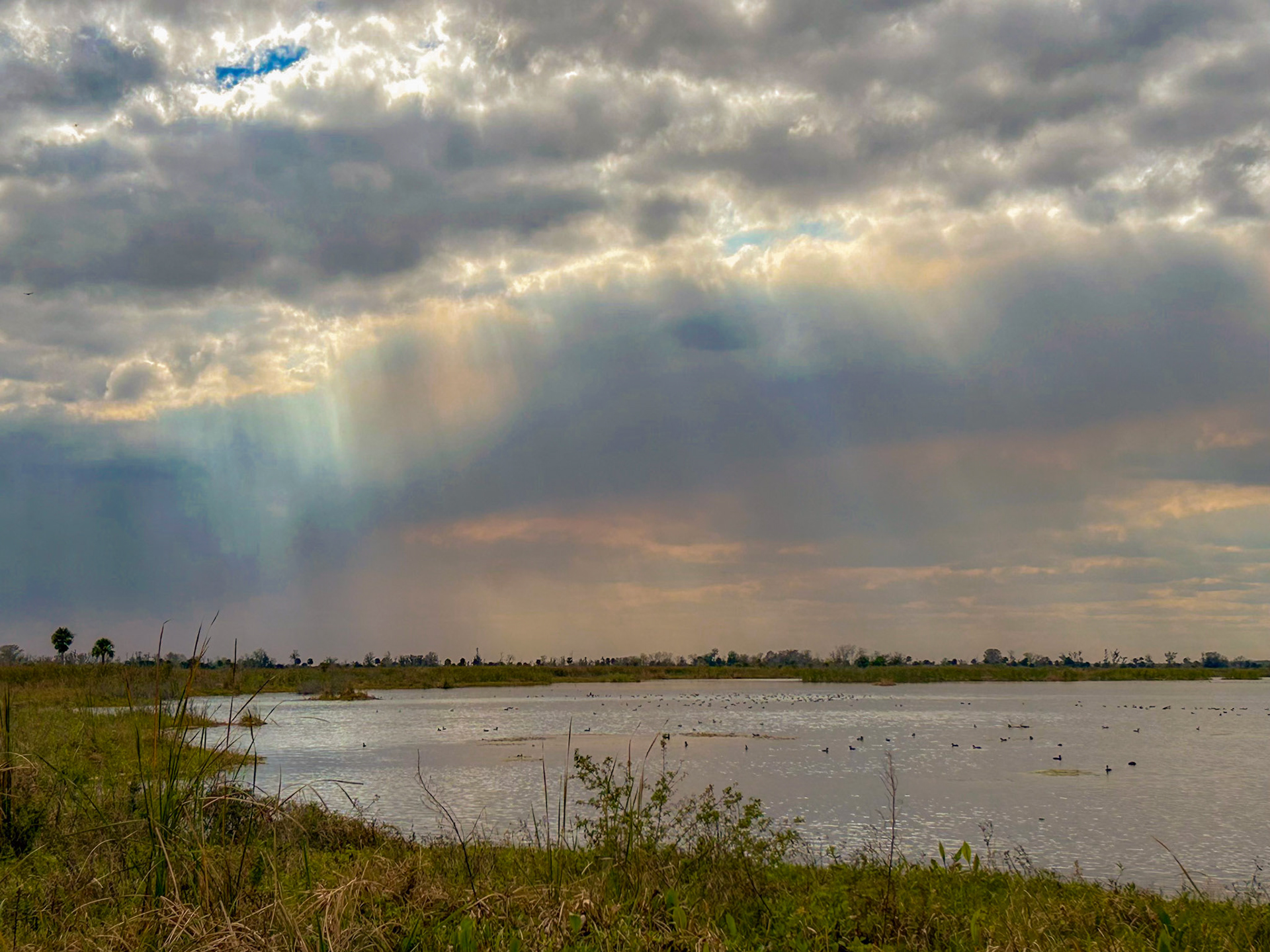 Emeralda Marsh Leesburg FL