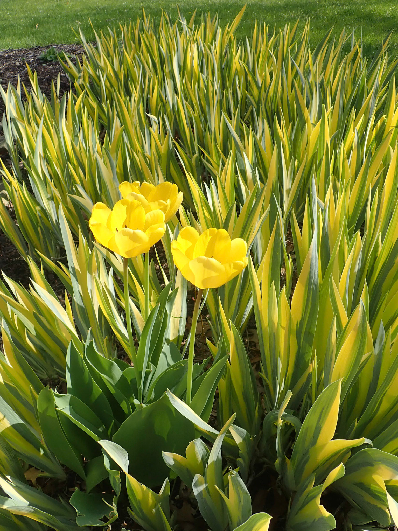 University Circle, Cleveland OH