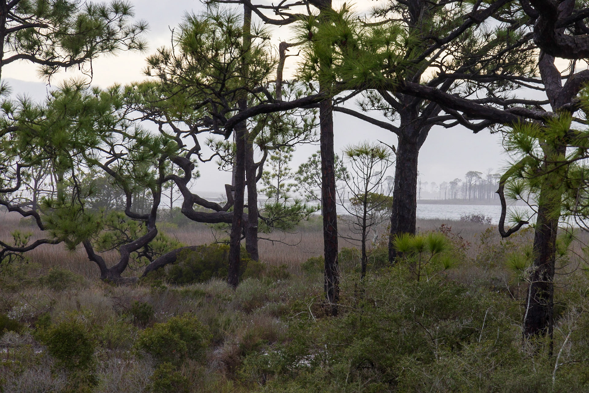 Saint George Island SP,FL