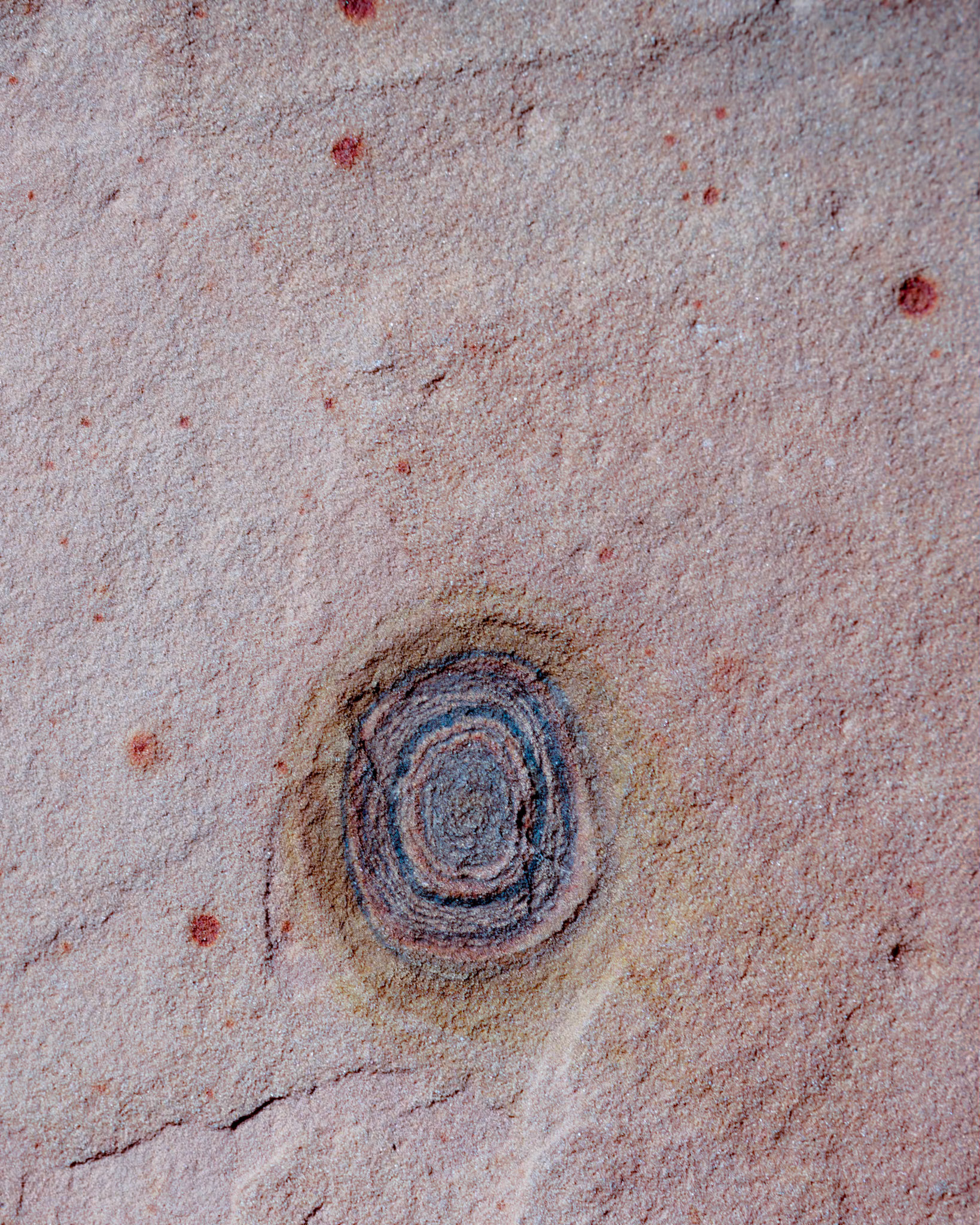 White Pockets, Vermillion Cliffs AZ