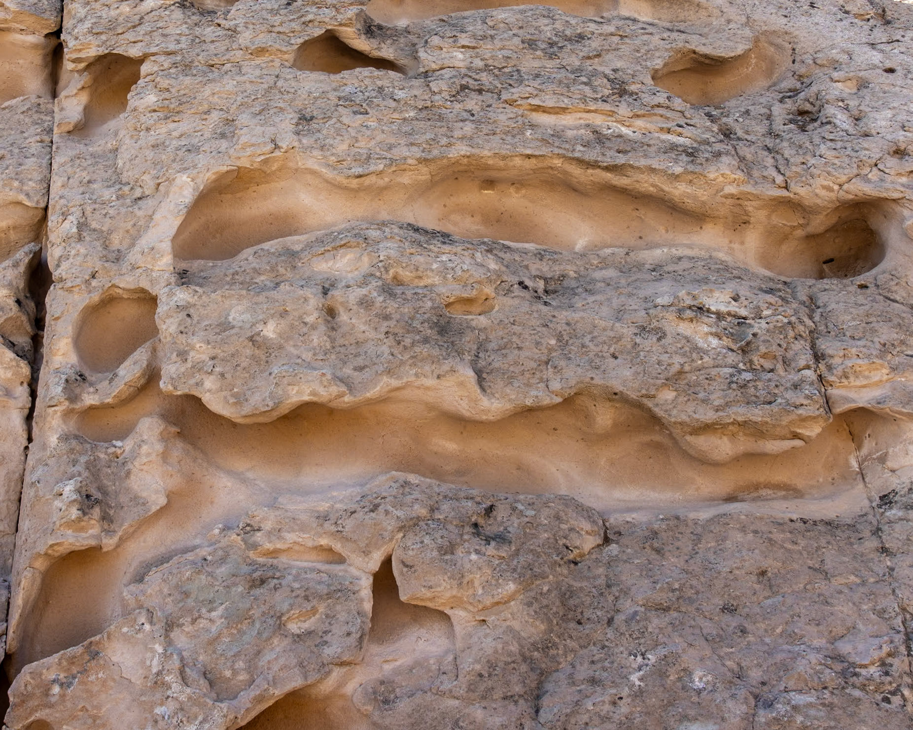 Hickison Petroglyphs, Austin NV