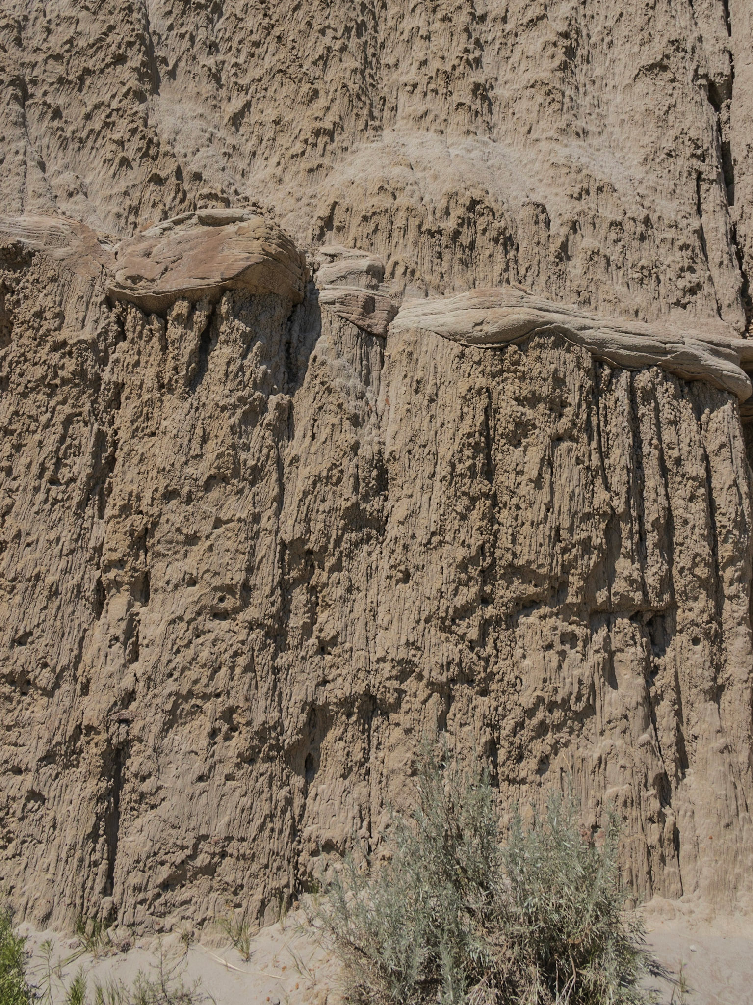 Theodore Roosevelt NP, North Unit, ND