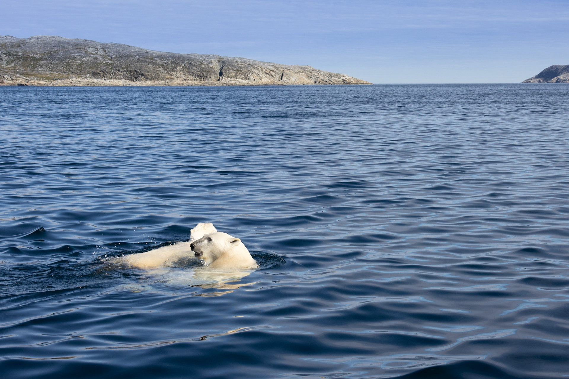 Dog Island, Torngats, NL
