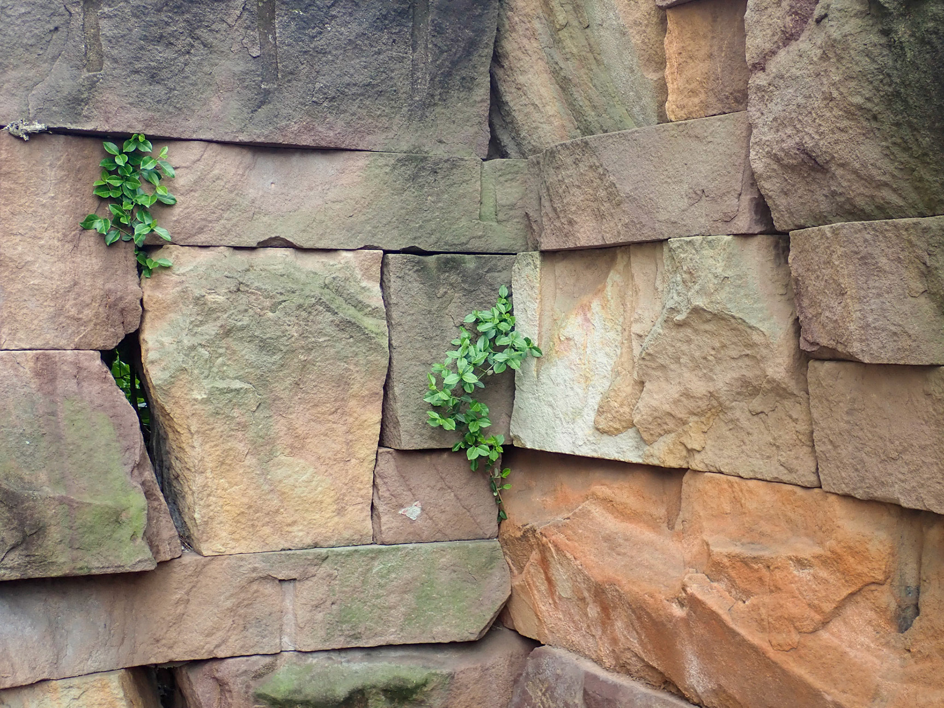 University Cirlcle, Cleveland OH