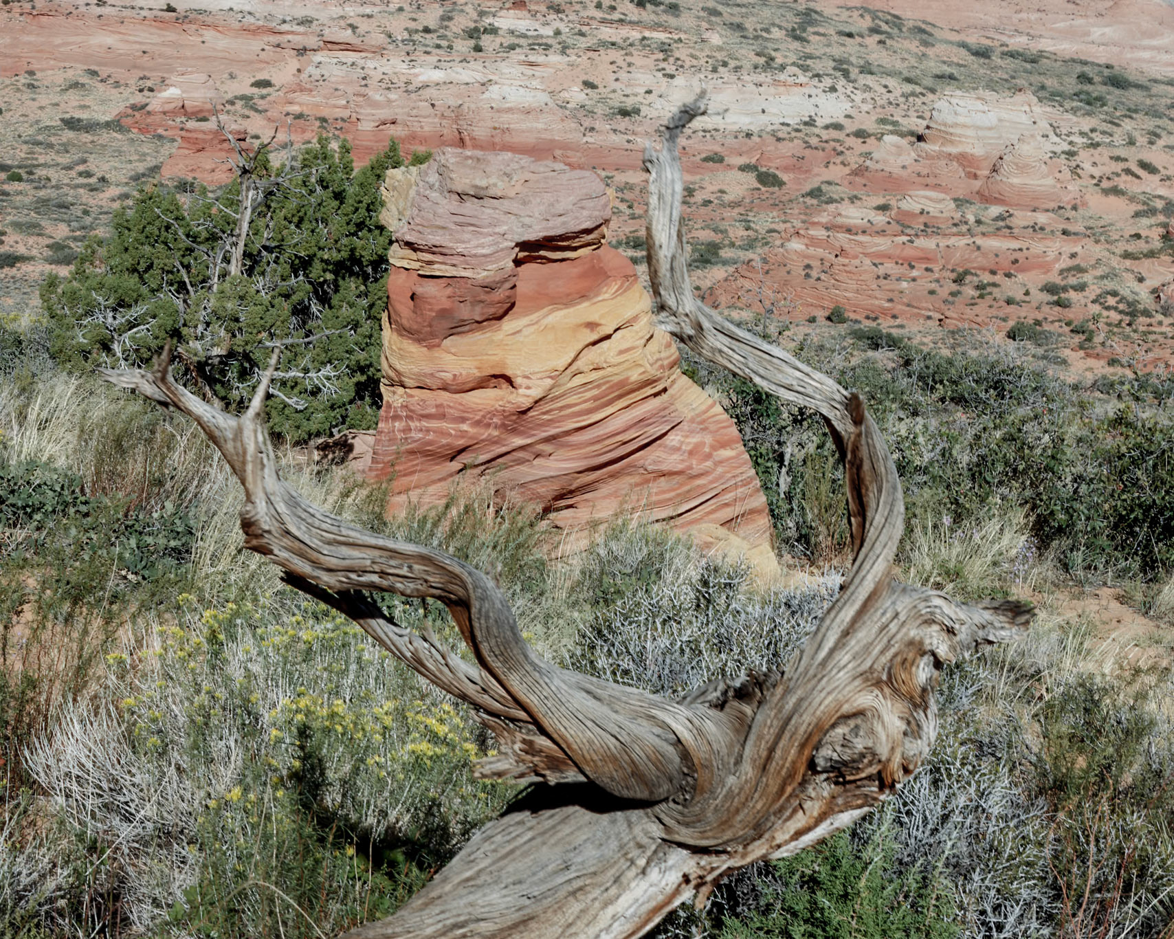 South Coyote Buttes, Vermillion Cliffs AZ