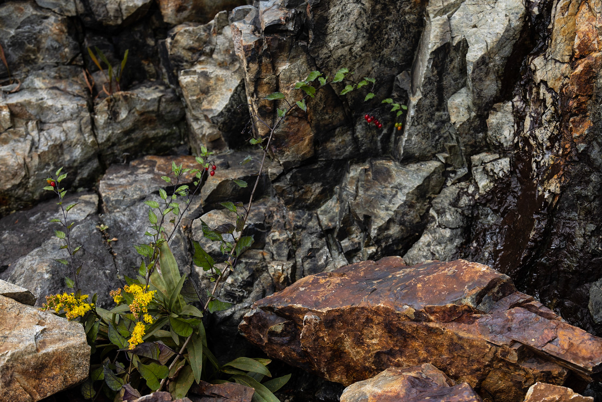 Little Hunters Beach, ME