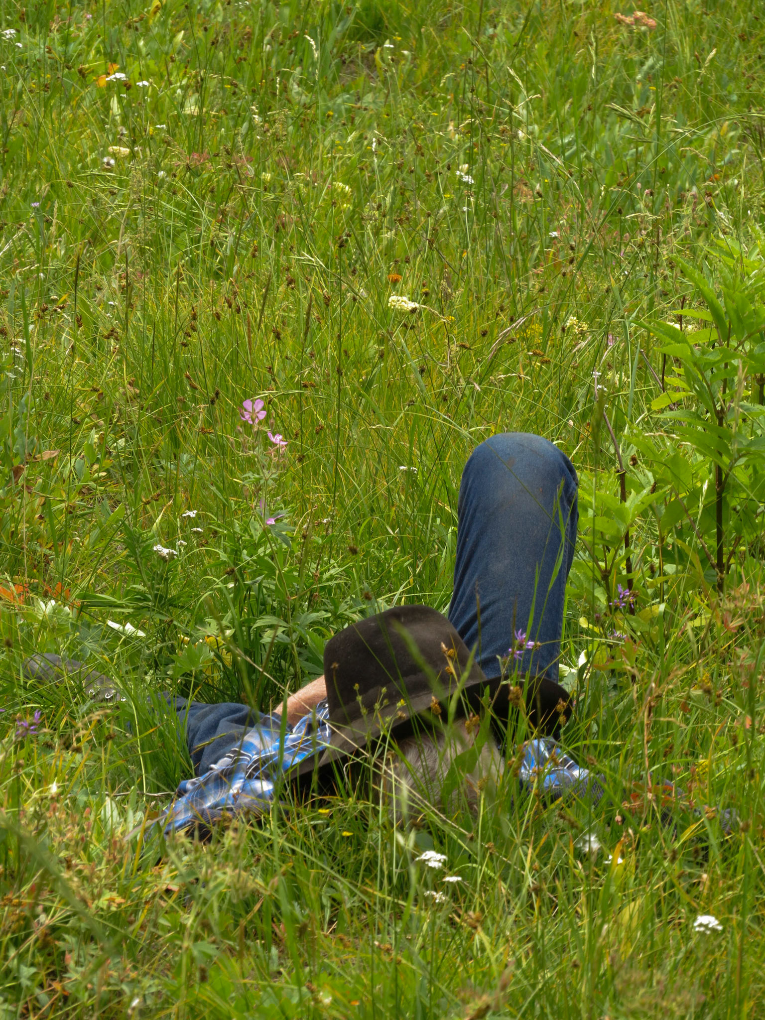 Thorofare Plateau, WY